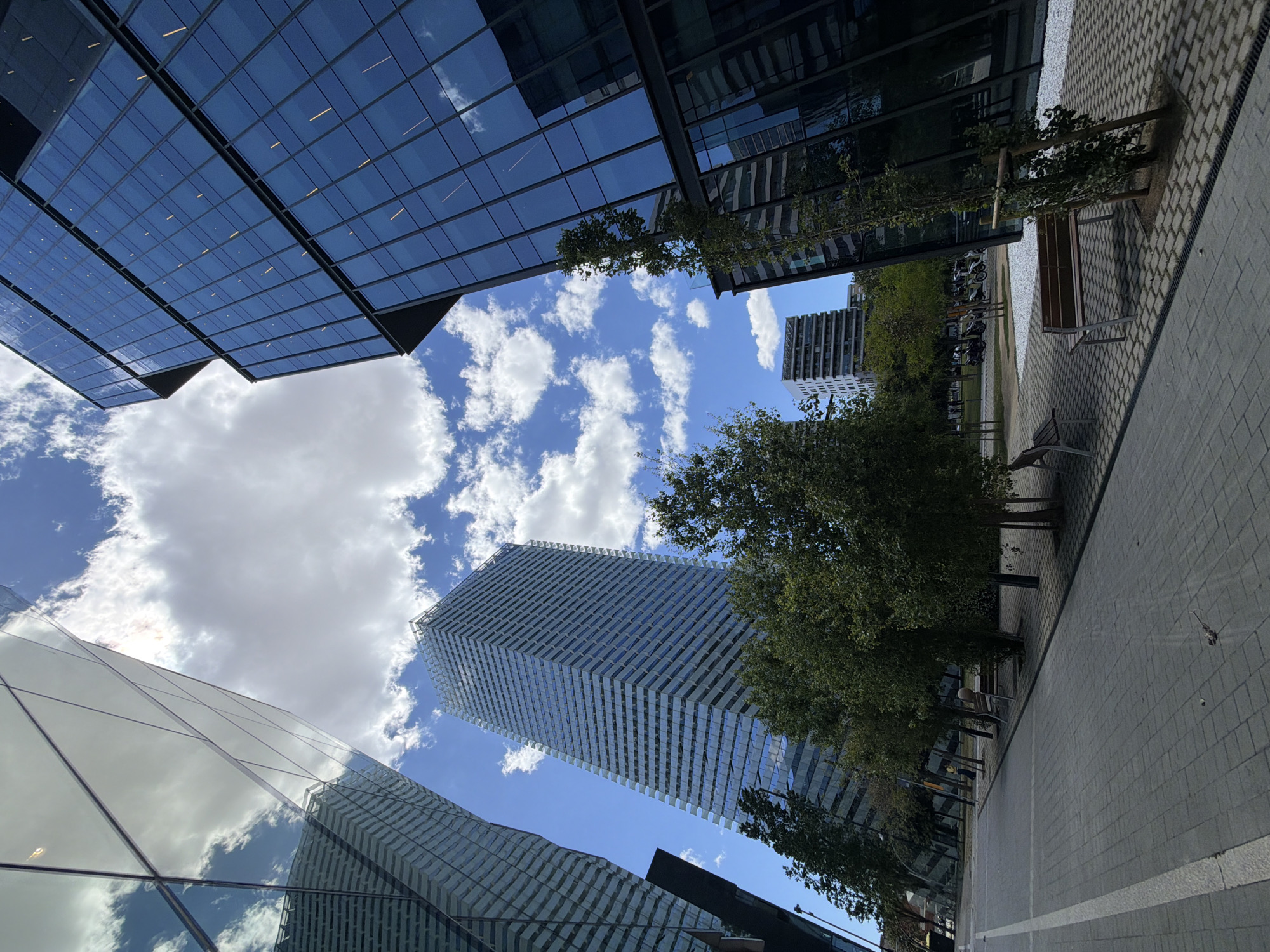 The image captures a low-angle view in the city of L'Hospitalet de Llobregat, Spain, focusing on the architectural environment. Modern glass-fronted buildings dominate the frame, their reflective surfaces mirroring the blue sky and scattered clouds. A tall, skyscraper-like structure is visible, its facade characterized by a patterned design. A paved area with benches and young trees lines one side of the frame, suggesting a pedestrian zone. The composition emphasizes the contrast between the natural elements of sky and trees and the man-made structures. No people are visible in the immediate scene.