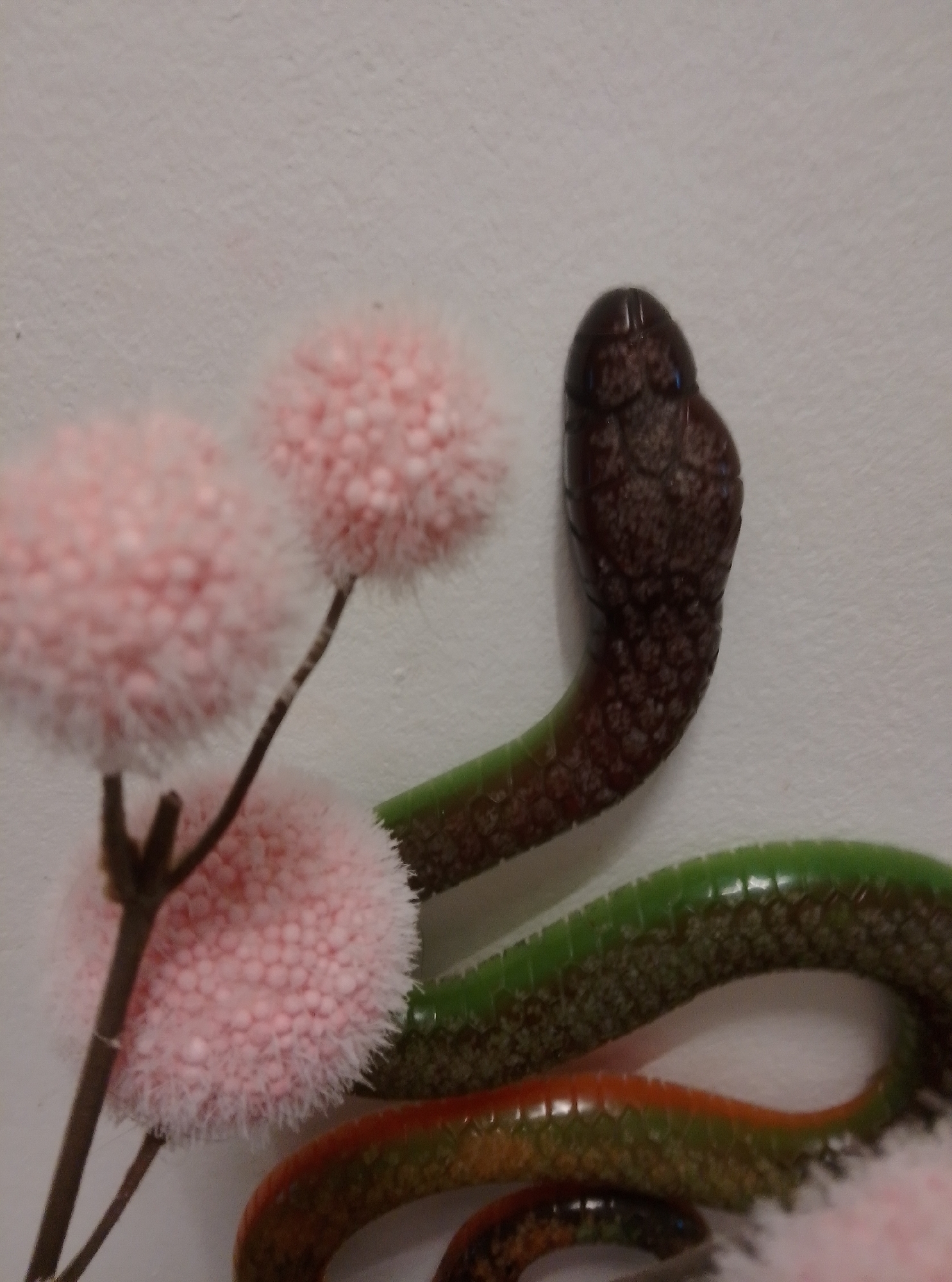 A close-up, eye-level shot features a brown-headed snake with a dark brown, patterned head and a green body with dark speckles. The snake's body is curved, with part of its underside showing a reddish-orange color. To the left, two fluffy pink decorative spheres, resembling cotton balls, are attached to thin, dark brown stems. The background is a plain, light-colored wall. The image does not depict any identifiable location in Wedel, Germany, nor any people or specific actions.