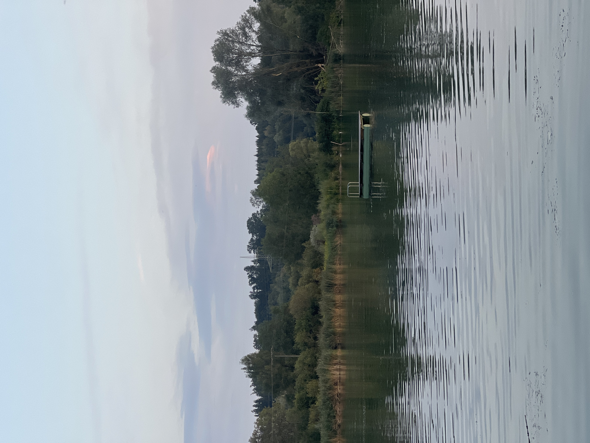 This is a photograph of a lake on a cloudy day. The lake is calm, with gentle ripples on the surface. A small, green, wooden dock with metal railings floats in the middle of the lake. The shoreline is lined with reeds and lush green trees. In the distance, a dense forest can be seen, and power lines stretch across the sky. The sky is a pale blue with wispy clouds. The scene appears to be a natural setting, possibly a park or recreational area, located in the vicinity of Haag an der Amper, Germany.