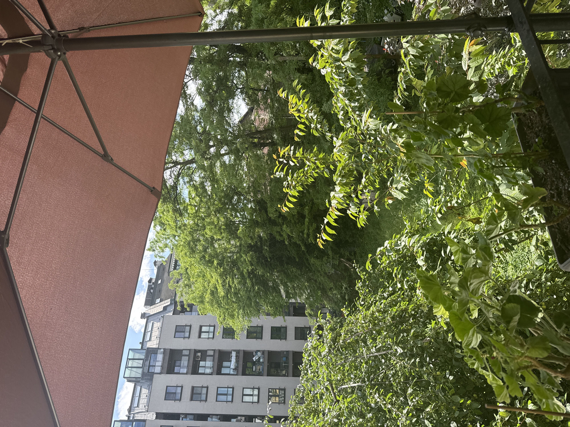 The image captures a vibrant daytime scene, likely viewed from a balcony or patio overlooking an urban green space. In the immediate foreground, a large, open, reddish-brown patio umbrella occupies the upper left portion of the frame, with its supporting metal ribs and central pole clearly visible. A dark, possibly metal, railing or support structure is also partially visible along the right edge.
The mid-ground is dominated by lush, healthy green foliage from a variety of trees and bushes, indicating a flourishing natural environment. Bright sunlight illuminates the leaves, casting highlights and suggesting a clear, sunny day. Through the dense greenery, several buildings can be seen in the background. To the left, a modern, multi-story apartment building with numerous windows and balconies stands out, featuring a light-colored facade. Further back and slightly to the right, an older building with a distinctive reddish-brown tiled roof is partially visible, nestled among the trees. Patches of clear blue sky are discernible between the buildings and foliage.
There are no people present, and no specific activities are taking place. The scene conveys a sense of peaceful urban nature under bright weather conditions, consistent with an outdoor setting in a city like Sofia, Bulgaria. No text is visible in the image.