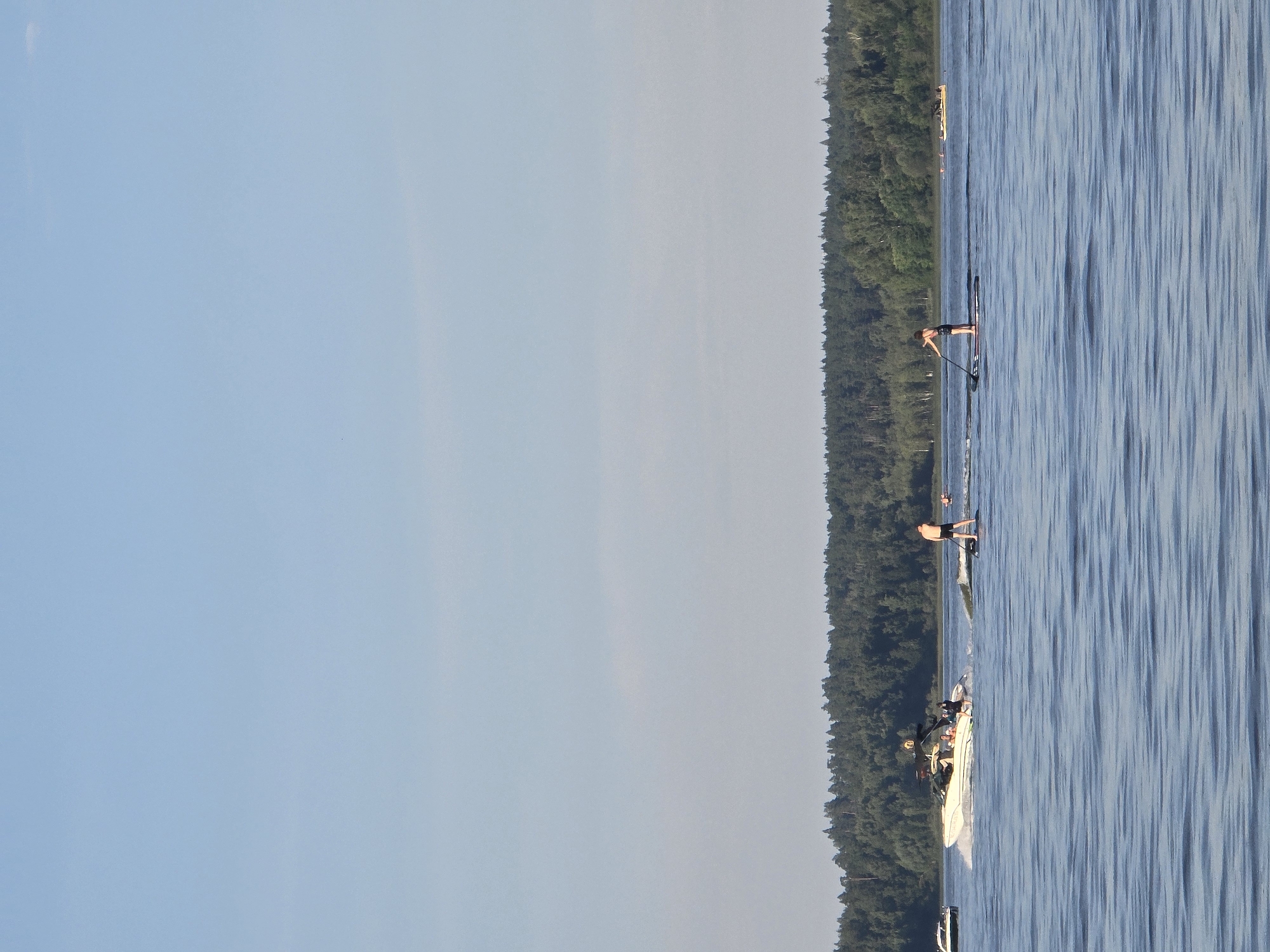 The image depicts a serene summer day on a body of water, likely a lake or river, with a dense forest bordering the far bank. The sky is a clear, pale blue. In the foreground, the water is calm with gentle ripples. Several people are engaged in water activities.
On the left side of the image, a white speed boat with several occupants is moving across the water, creating a wake. To the right of the boat, a person is stand-up paddleboarding, actively paddling. Further to the right, another person is also stand-up paddleboarding, facing away from the viewer. In the distance, on the right side of the frame, another small boat is visible.
The overall scene suggests a recreational outing in a natural setting. The location is identified as the посёлок гидроузла имени Куйбышева (Posyolok Gidrouzla imeni Kuybysheva), Russia.