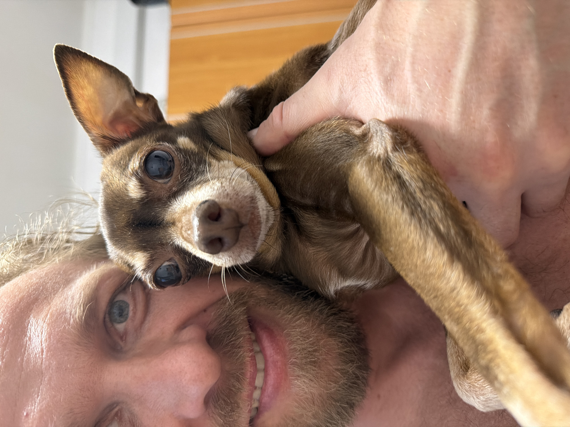 A man is holding a brown Chihuahua dog close to his face. The man is smiling, and the dog is looking at the camera. No elements in the image suggest the location is Saint Petersburg, Russia.