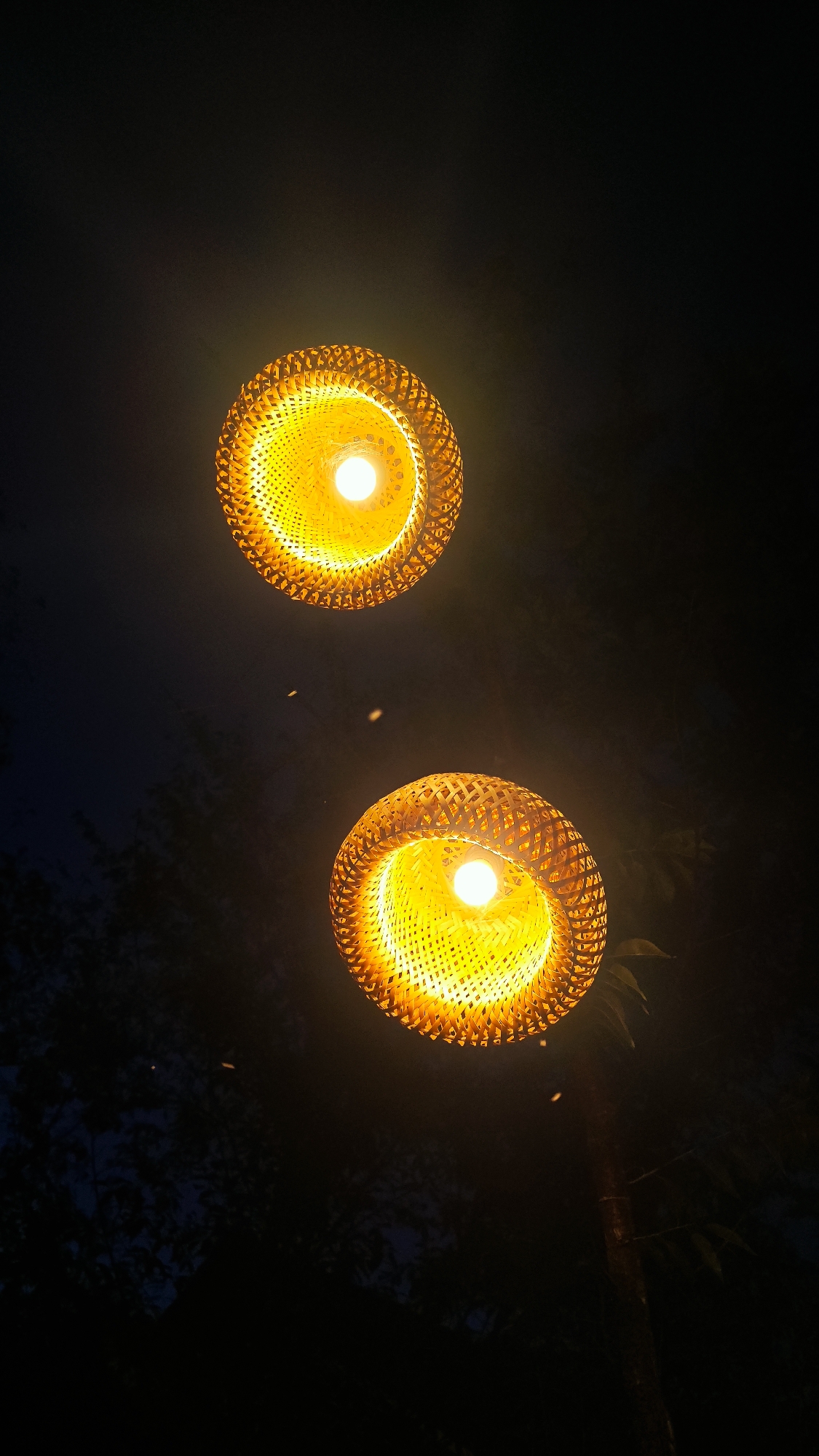 The media file captures two illuminated, circular light fixtures, likely lamps or lanterns, hanging against a dark, nocturnal background. Each fixture is intricately woven from a material resembling bamboo or wicker, creating a textured pattern that allows light to filter through, casting a warm, golden glow. A bright, white light bulb is visible within the core of each fixture.
The scene takes place at night in Mù Cang Chải, Vietnam, indicated by the deep darkness that envelops the background. Silhouetted forms of tree leaves and possibly a tree trunk are faintly discernible at the edges of the frame, suggesting an outdoor setting, perhaps a garden, patio, or forest edge. Several small, winged insects are seen flying around the light sources, attracted by their brightness in the darkness.
The activity depicted is the simple illumination of an outdoor space at night. The warm light from the lamps creates an ambient, cozy, and inviting atmosphere. The overall weather conditions are not clear, but the presence of insects suggests a relatively calm evening. There is no visible text in the image.