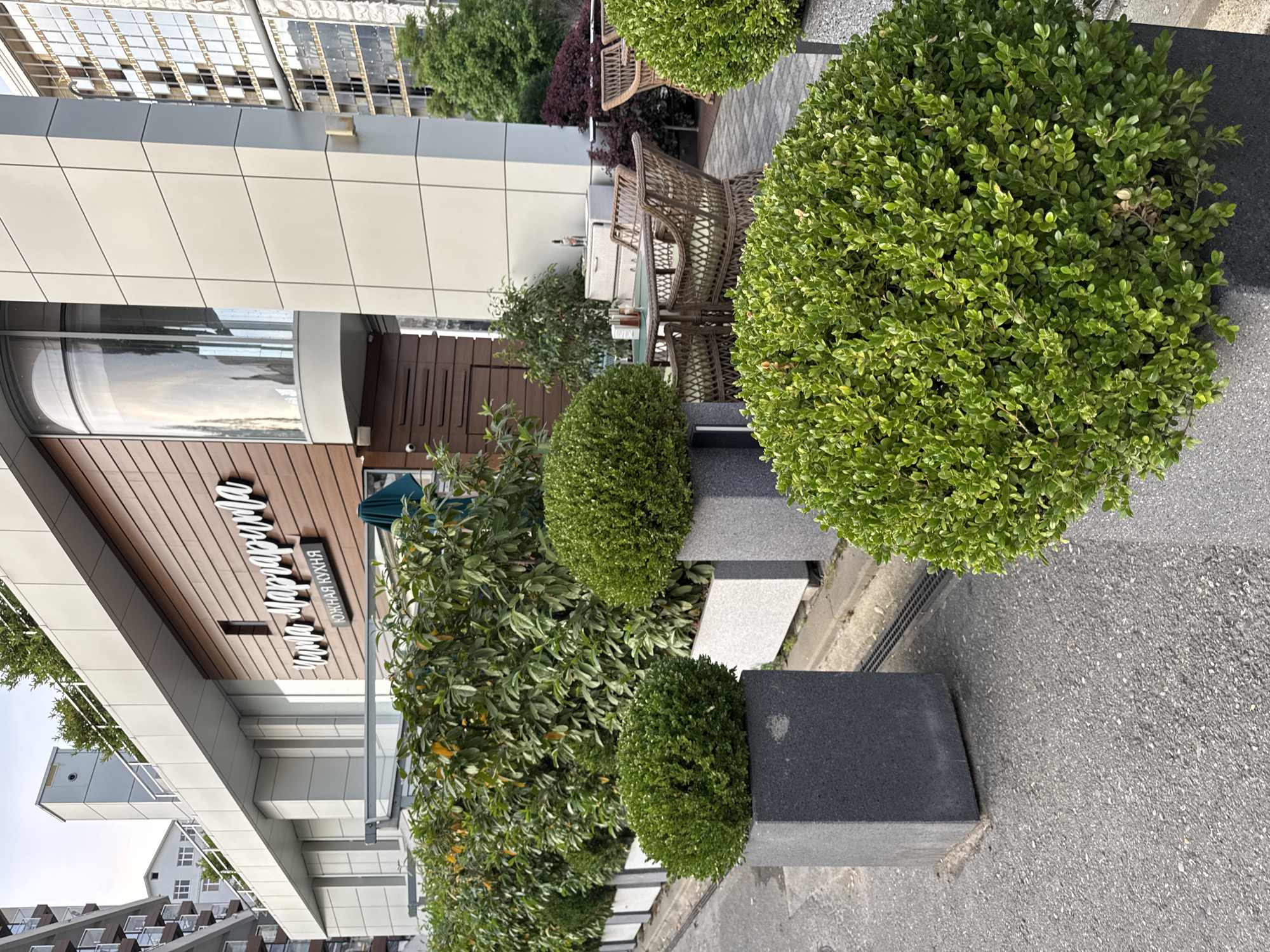 A contemporary building with a wooden facade features a prominent sign in script that reads "Чика Маргарита" and below it, "ЮЖНАЯ КУХНЯ" (Southern Cuisine). To the left of the building, a row of tall, dense green bushes are planted in rectangular planters. In the foreground, two large, spherical topiaries are placed in dark gray rectangular planters. Outdoor seating with woven wicker chairs and tables, some set with tableware, is visible on a paved patio area. Beyond the building, modern high-rise apartment complexes and trees are visible under a cloudy sky. The scene is set on a street with asphalt pavement and a metal grate drain.