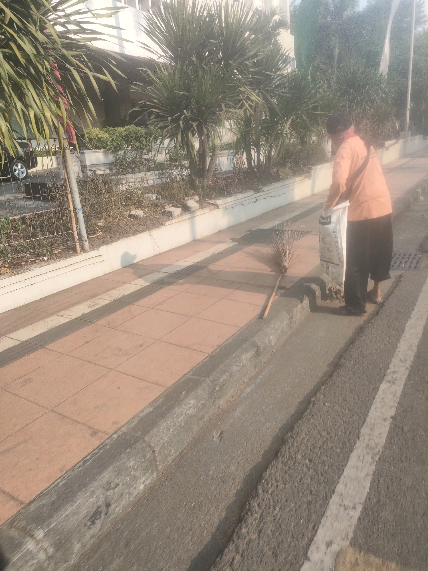 An individual, appearing to be a street sweeper, is depicted from the mid-torso down, engaged in cleaning a sidewalk. They are wearing an orange long-sleeved shirt and dark pants, with their face partially obscured by a bandana. In their right hand, they hold a large white garbage bag, with the text "XXI" and other illegible words printed on it. A traditional broom, made of twigs and a wooden handle, rests on the ground nearby, adjacent to the curb. The individual is standing on a paved sidewalk, which is comprised of reddish-brown square tiles. This sidewalk is bordered by a raised concrete curb that separates it from a darker asphalt road. In the background, there are lush green palm-like plants and the facade of a building. A metal fence is visible on the left, with a portion of a silver car behind it. The scene is set outdoors, under natural light, suggesting it is daytime. The overall impression is one of public maintenance work being carried out on a street in a tropical or subtropical urban environment. The presence of the specific trash bag branding and the distinct tropical vegetation strongly suggests this location is in Surabaya, Indonesia.