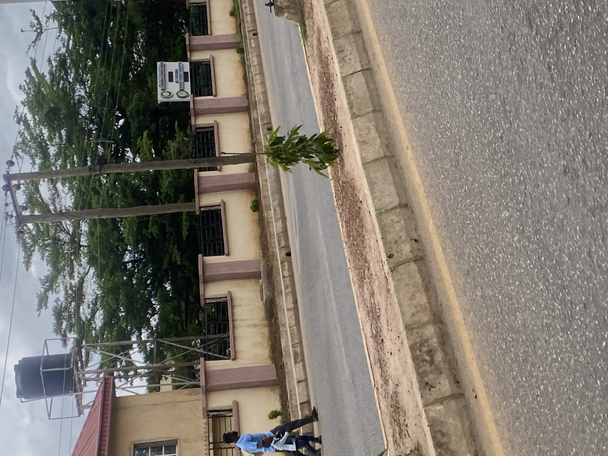 In the city of New Stadium, Nigeria, a paved road runs alongside a beige, decorative concrete wall topped with black metal fencing. A man in a blue shirt and dark pants walks from left to right across the road, holding the hand of a young child dressed in a light-colored shirt and dark pants. To the left of the road, a tan building with a red roof is visible, and adjacent to it, a tall metal structure supports a large black water tank. In the background, lush green trees create a dense canopy, and two utility poles with wires stretch across the sky. A small sapling grows in a patch of dirt between the road and the wall, and a sign with text and two circular emblems is mounted on the wall. The sky is overcast.