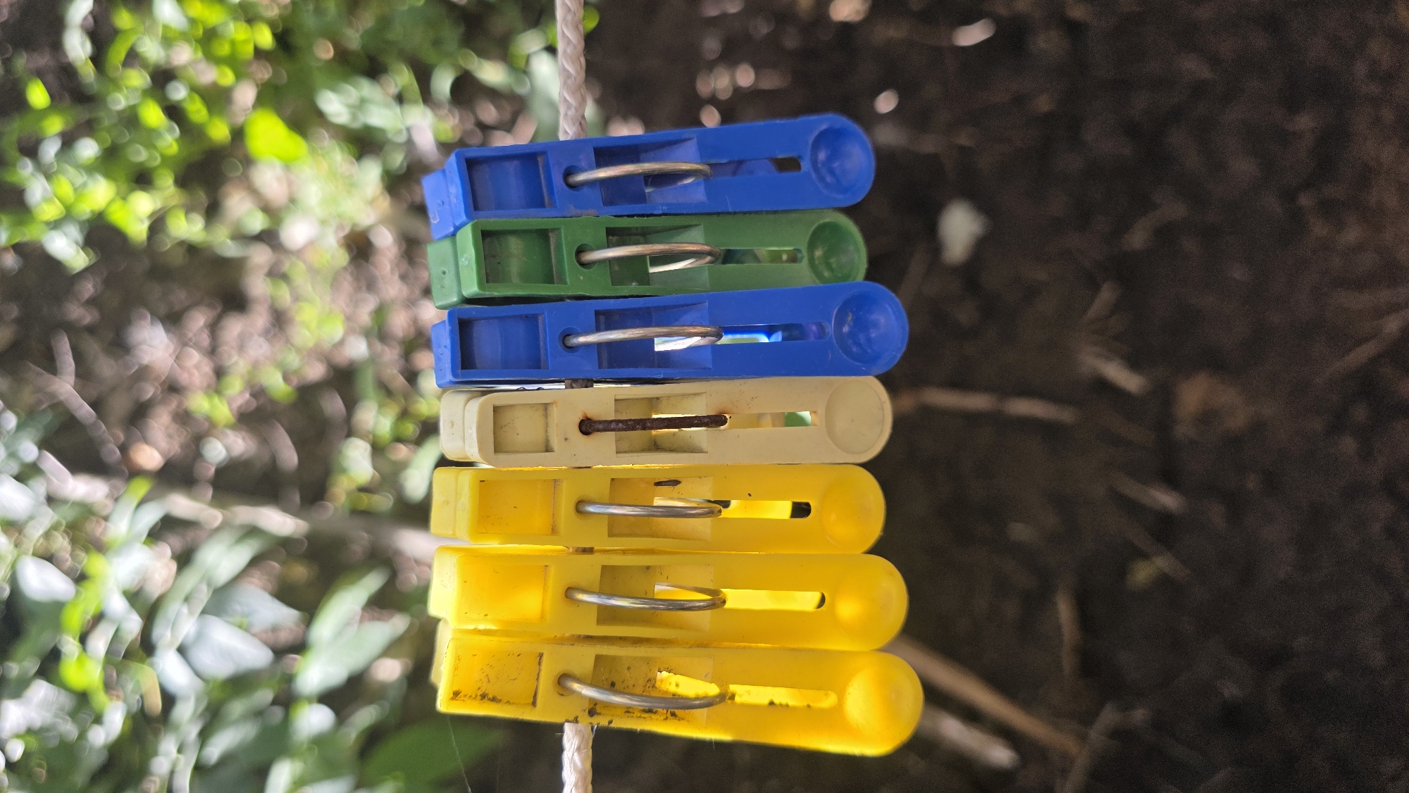 A row of six clothespins is clipped onto a white clothesline outdoors, with a blurred background of green foliage and dark soil. The clothespins, from left to right, are yellow, yellow, yellow, cream, blue, and green. The yellow and cream clothespins appear slightly weathered and dirty, with visible rust on the metal springs of the cream clothespin. The blue and green clothespins are brighter and appear newer. The clothesline is taut and runs horizontally across the frame. The background is out of focus, but suggests an outdoor natural setting with leafy plants and ground cover.