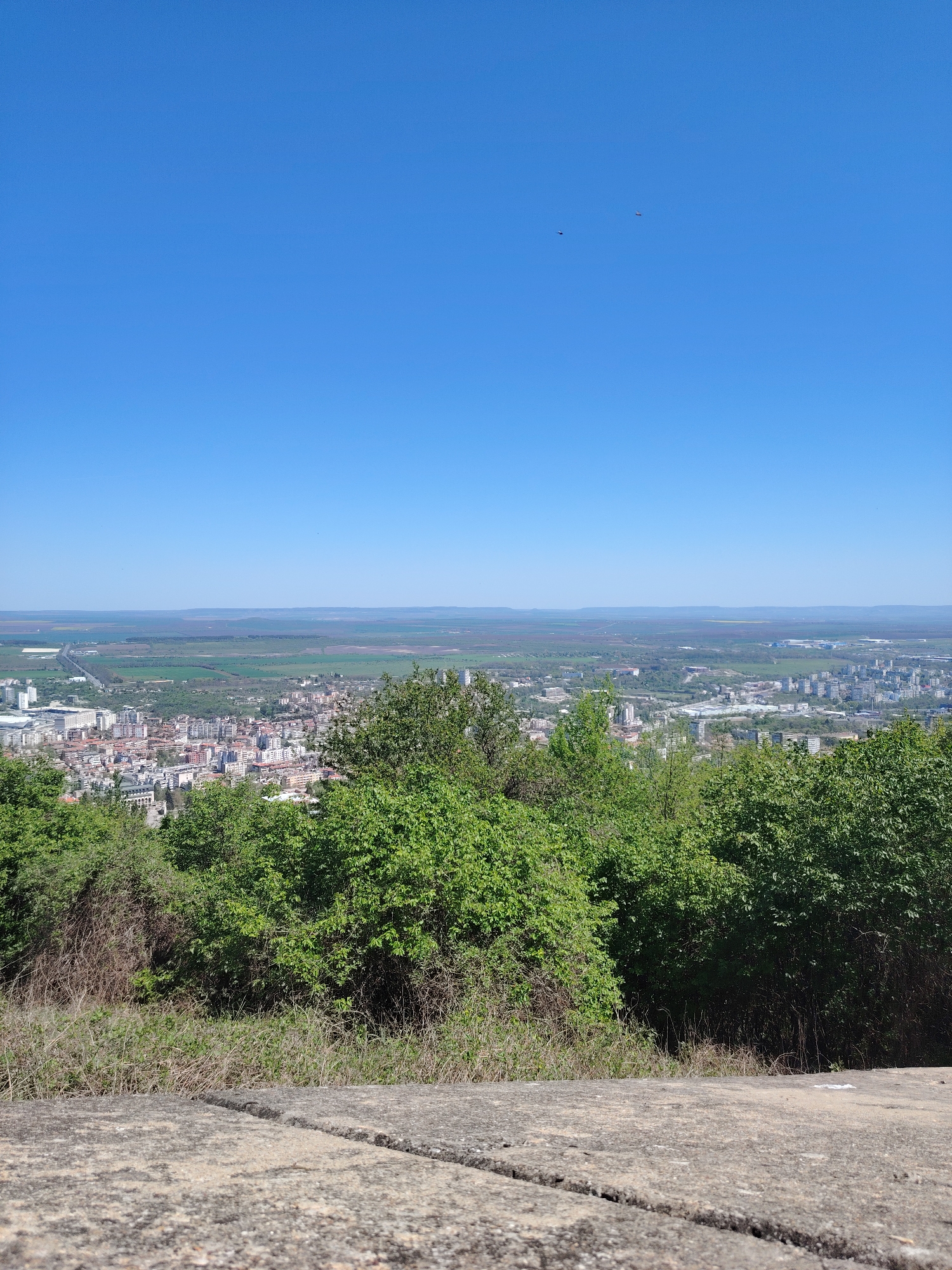 The image is a wide, outdoor shot taken from a high vantage point overlooking the city of Shumen, Bulgaria. The foreground features a concrete surface, potentially a ledge or part of a structure. Immediately behind the ledge is dense, lush greenery with various shrubs and trees obscuring the view of the city below in some areas.
The city of Shumen stretches across the midground, with diverse buildings and structures. Beyond the city, the landscape transitions into a rural area with fields, possibly agricultural land, and distant hills or mountains on the horizon.
The sky is a clear, bright blue, taking up a substantial portion of the upper frame. There are what appear to be a couple of small birds in the sky. The lighting suggests a sunny day.
