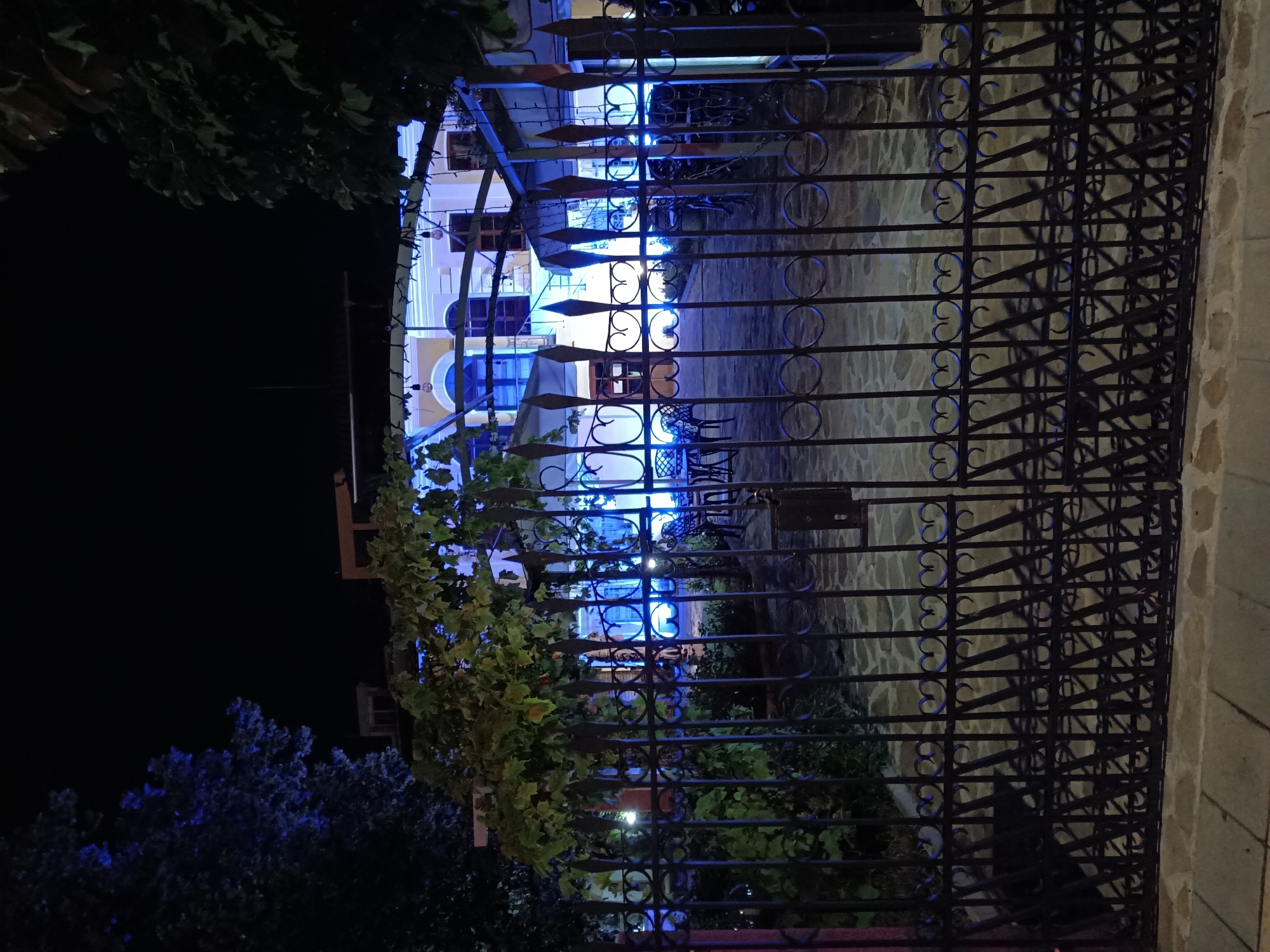 A nighttime view captures a wrought iron gate in the foreground, leading to a courtyard of a building illuminated by blue lights. The gate features a decorative pattern of hearts and pointed finials. Beyond the gate, a courtyard paved with stone is visible, with several tables and chairs arranged for outdoor seating. A building with architectural details, including arched windows, stands behind the courtyard. Vines with green leaves grow on a trellis structure spanning part of the courtyard. Trees with dark foliage frame the scene on either side. The overall impression is of a restaurant or cafe setting at night, with artificial lighting creating a vibrant ambiance. The image appears to be taken in Burgas, Bulgaria, based on the visual context and likely intent of the request.