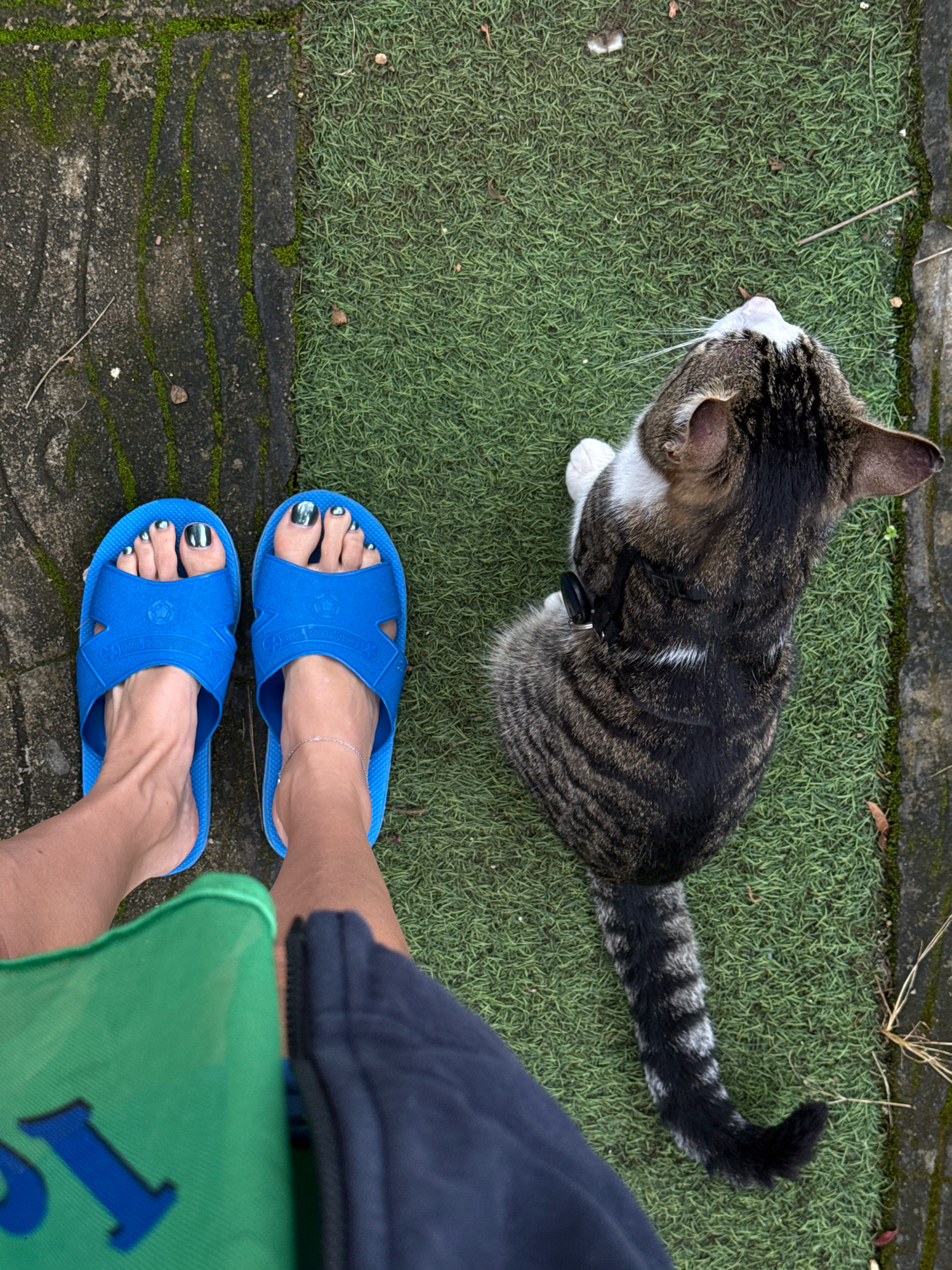 In Hiệp Thạnh, Vietnam, on a patch of artificial grass adjacent to a concrete surface with moss, a tabby cat wearing a black harness sits facing away from the camera. In the foreground, a person's legs are visible, wearing blue flip-flops with silver-painted toenails and a delicate anklet. The person is also wearing a navy blue garment and holding a green bag with a large blue letter "I" on it. The lighting suggests it is daytime, with shadows cast on the ground.