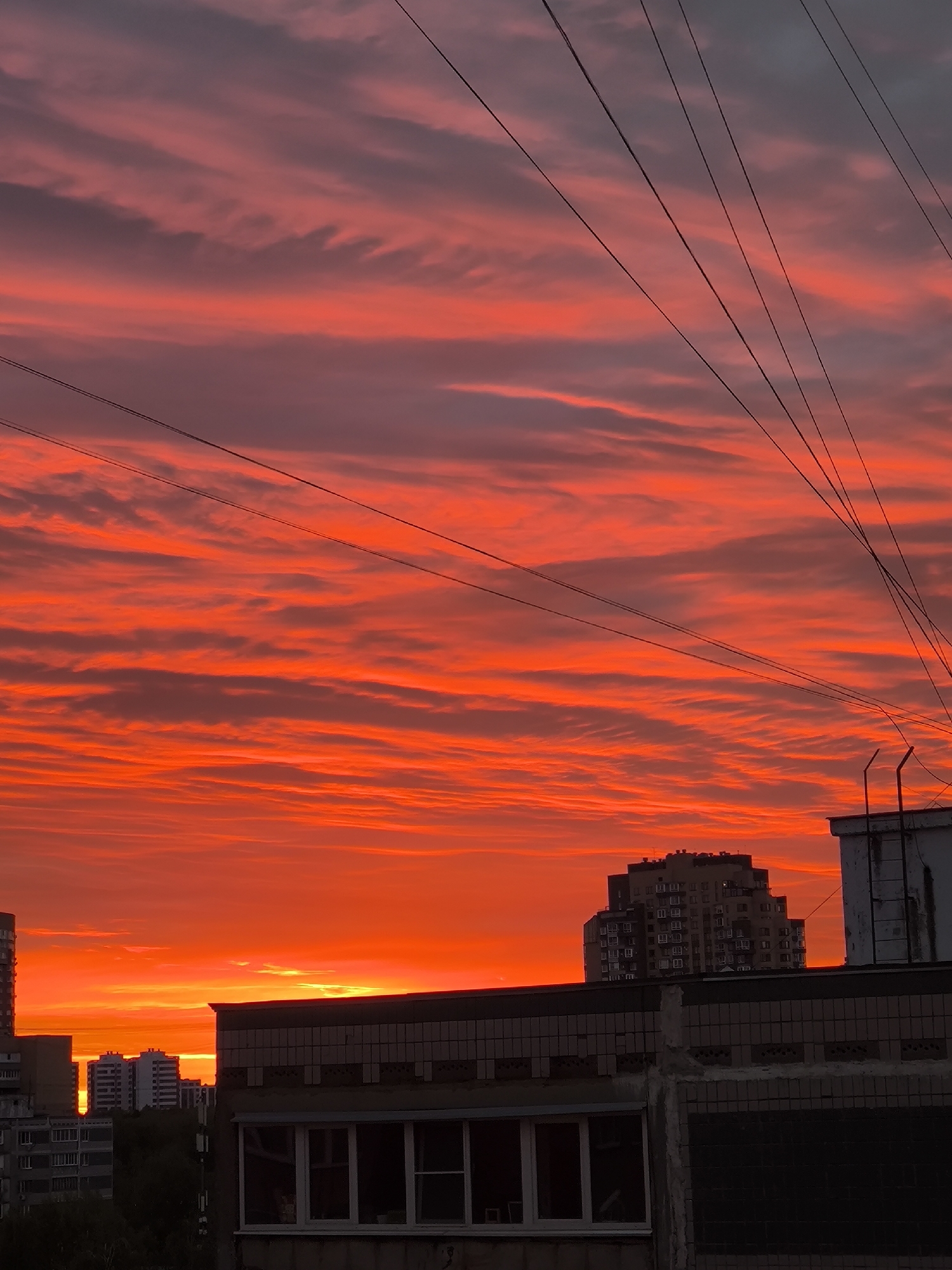 The image shows a vivid red and orange sunset over a cityscape. In the foreground, rooftops and buildings are silhouetted against the bright sky. Power lines stretch across the frame. The buildings appear to be residential apartment blocks. The image does not contain enough information to discern whether the image was taken in Khimki, Russia, with certainty.