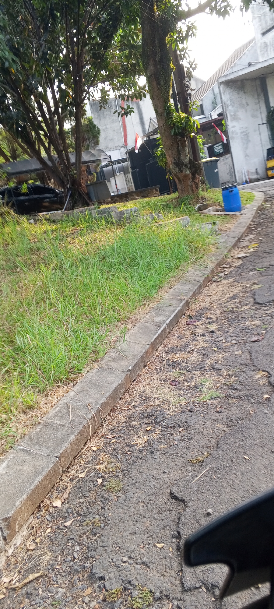 The image depicts an outdoor scene, likely in Gunung Putri, Indonesia. In the foreground, a cracked asphalt road runs alongside a concrete curb. To the left of the curb is a patch of overgrown green grass interspersed with dry leaves and twigs. Behind the grass and curb, several large trees with thick trunks and dense foliage are visible. A black car is partially obscured by the trees. Further in the background, a building with a gray facade and a sloped roof is seen, with a red and white Indonesian flag attached to its side. Several large, dark-colored structures, possibly for outdoor equipment or storage, are also present. A bright blue plastic barrel stands next to a gray trash bin near the building. The lighting suggests it is daytime, with sunlight filtering through the trees. The overall impression is of a residential or semi-commercial area with natural elements and man-made structures.