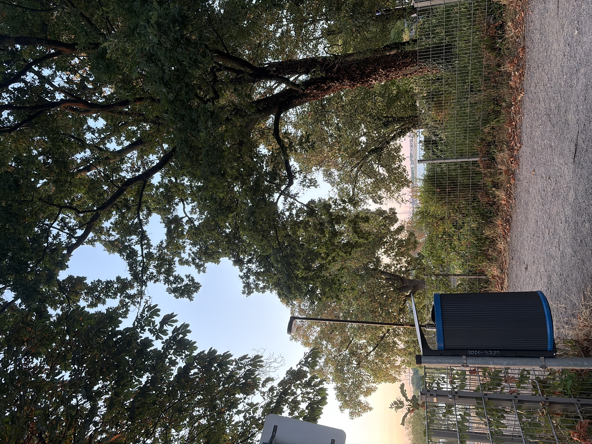 This image captures a scene at the banks of the Rhine River in Duisburg, Germany, near the Wedau sports park, at dusk. In the foreground, a modern, ribbed waste bin with a blue rim is mounted on a grey metal pole. To the left of the bin, a chain-link fence runs along a gravel path. Beyond the fence, lush green vegetation and trees line the riverbank. The background features the wide expanse of the Rhine River, with a bridge and industrial structures visible in the distance. The sky is a soft gradient of pale blue and pink, indicative of the approaching sunset. The overall atmosphere is serene and natural, with the man-made elements subtly integrated into the landscape.