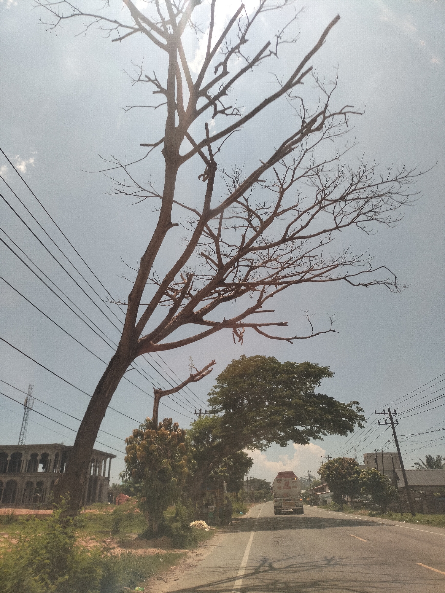 The image shows a road in Matangkruet, Indonesia on a sunny day. A bare tree dominates the foreground on the left. Electrical wires run across the sky. On the left side of the road stands an unfinished building with arches, partially obscured by foliage. Further down the road, a truck drives towards the camera. Green trees and shrubs line the sides of the road. A utility pole is visible on the right side of the road. A building with a metal roof is on the right side of the road. The road surface is asphalt with painted lane markings.