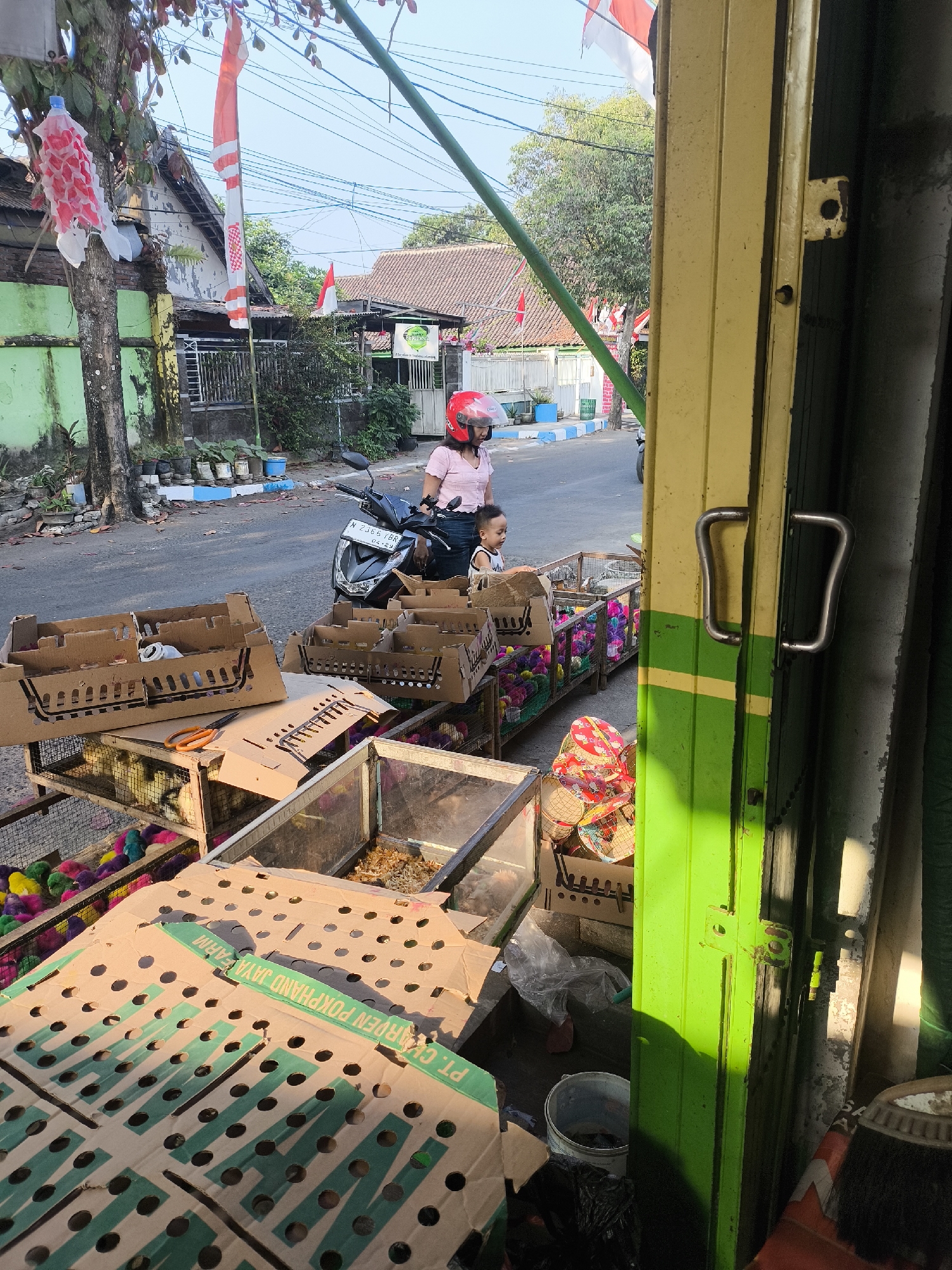 A low-angle, slightly over-the-shoulder medium shot captures a street scene in Citrodiwangsan, Indonesia, with a focus on a roadside stall and its surroundings. In the foreground, several cardboard boxes, some open to reveal rows of colorful chicks, are arranged on a metal cart. One box, with perforated sides, is prominently displayed, showing the text "PT. CHAREN POKPHAND JAYA FARM" printed in green. To the right, a metal accordion gate, painted a vibrant yellow and green, dominates the frame, with a single handle visible.

Behind the stall, a woman wearing a pink helmet and a pink t-shirt is seen standing next to a motorcycle. She appears to be supervising a young child who is looking at the chicks. The child is wearing a white shirt with black trim. The motorcycle, dark in color, has a license plate visible that reads "N 2365 TBR."

The background reveals a street lined with houses and trees. Indonesian flags are visible, some hanging from trees and others on poles, indicating a national celebration or observance. The houses have tiled roofs and are painted in various colors, including green. The street itself is paved and has a blue and white striped curb. The overall lighting suggests it is daytime, with sunlight casting shadows. The environment appears to be a typical urban street in Indonesia, with evidence of local commerce and residential areas.