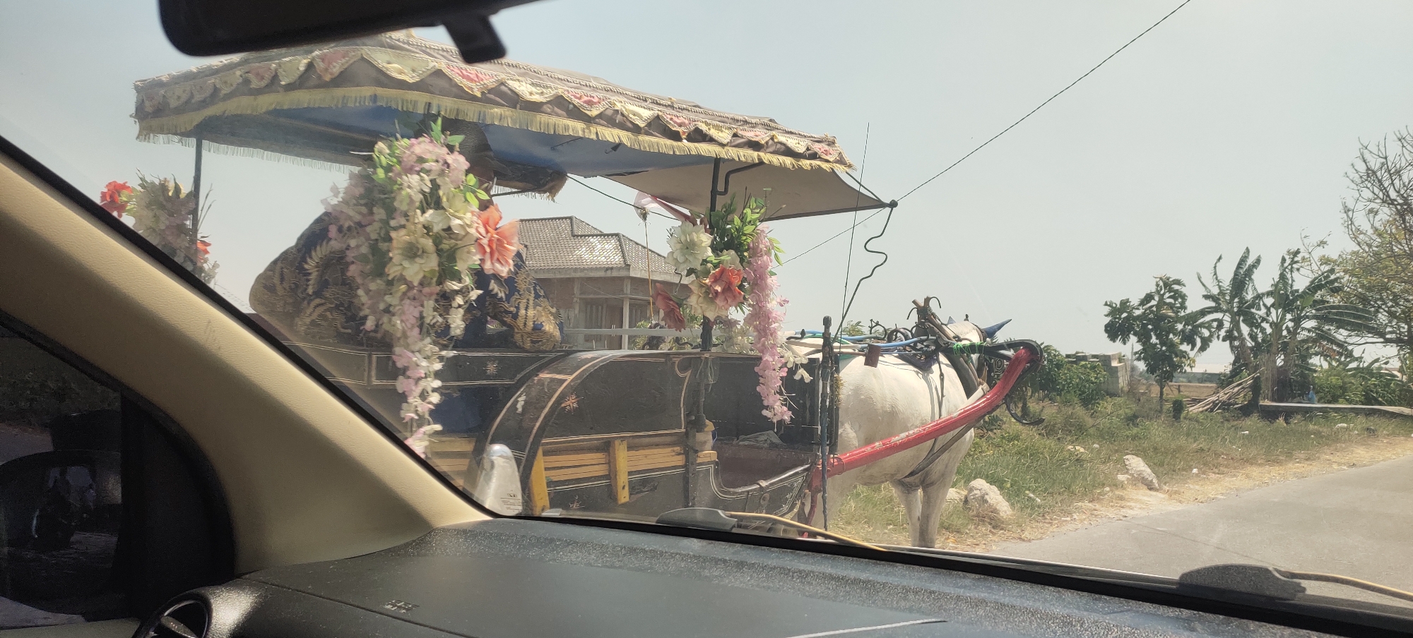 The image depicts a horse-drawn carriage adorned with floral decorations, captured from inside a vehicle in Kalicilik, Indonesia. The carriage is black with gold accents and a patterned canopy. A white horse is harnessed to the carriage. In the background, there are trees and buildings, suggesting a rural or semi-rural setting. The sky is clear and bright, indicating daytime. The foreground shows the interior of the vehicle from which the photograph is taken, with the dashboard and windshield visible.
