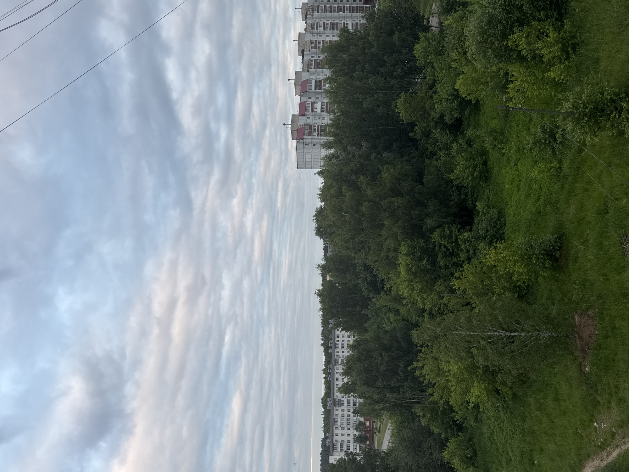 The image captures a wide-angle view of a residential area in Chaikovsky, Russia, likely during the day under an overcast sky. In the background, several multi-story apartment buildings, characterized by their pale facades and red-roofed upper sections, dominate the skyline. These buildings appear to be of Soviet-era construction. A dense line of green trees, primarily deciduous with some visible birch trees, forms a visual barrier between the foreground and the apartment buildings. The foreground consists of a grassy, unkempt area with scattered trees and bushes, suggesting a park-like or undeveloped space within the urban environment. Power lines are visible crisscrossing the sky. There are no people or animals clearly discernible in the image. The overall impression is one of a typical urban fringe landscape.
