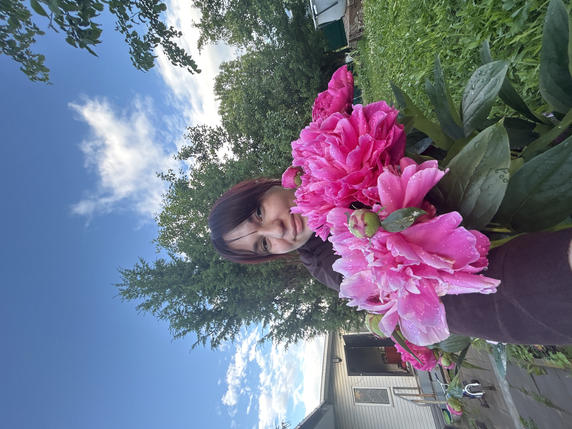 A young person with dark hair smiles as they hold a bouquet of bright pink peonies, covered in water droplets. The flowers are large and vibrant, with multiple layers of petals. The person is wearing a dark-colored shirt. They are outdoors, with a clear blue sky and white clouds visible in the background, interspersed with green trees. Part of a light-colored building with a window is also visible. The scene suggests a pleasant, possibly post-rainy day in a garden or yard. The orientation of the image is portrait, and it's difficult to discern the exact time of day, but the bright sky suggests it is daytime. There is no visible text in the image.