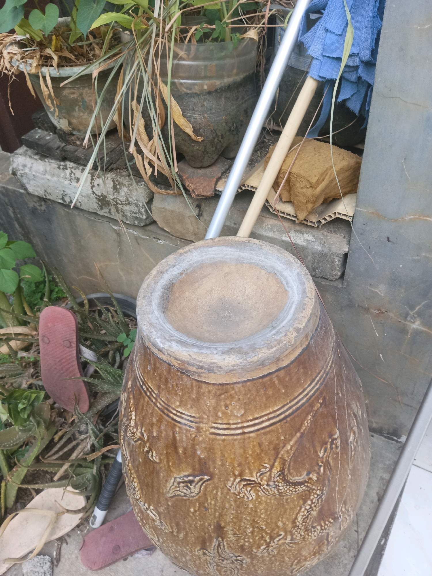 This is an overhead, medium shot of an outdoor scene in South Tangerang, Indonesia, likely a backyard or alleyway. In the foreground, a large, brown ceramic jar with dragon motifs is prominent. It has a wide opening with a thick, white-rimmed edge. Behind the jar, a silver pole leans against it, topped with a blue mop head. To the left of the jar, several aloe vera plants are visible in a dark pot, along with a red flip-flop. Further back, there are more potted plants, including one with withered, brown foliage. The ground appears to be a mix of concrete and dirt. The overall impression is one of a somewhat cluttered, utilitarian outdoor space.