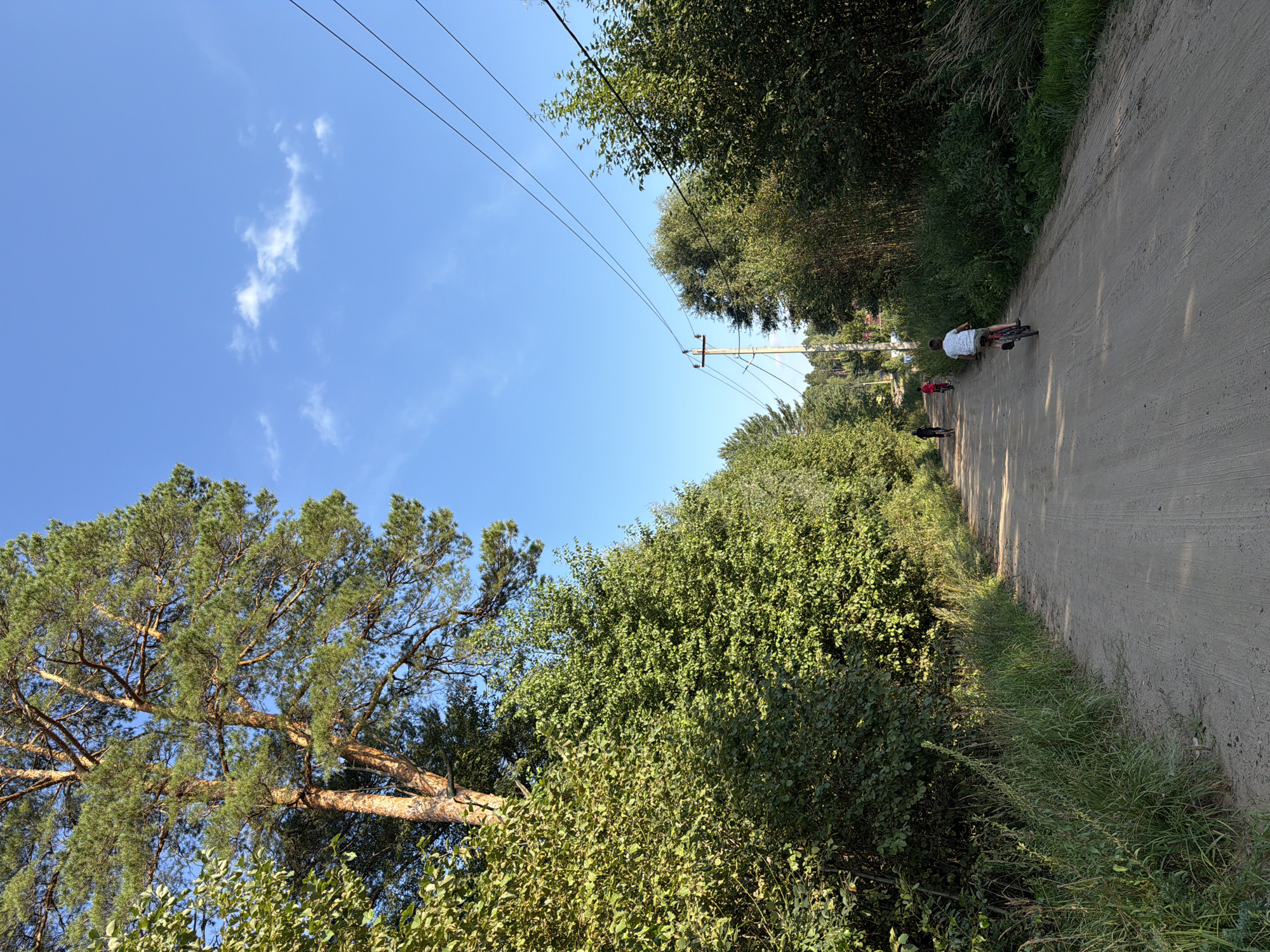 The image captures a rural scene in Chaikovsky, Russia, depicting a dirt road lined with lush green trees and foliage under a bright blue sky with scattered white clouds. A tall pine tree stands prominently on the left side of the road, its branches reaching towards the sky. Several individuals are seen cycling on the dirt road, with one cyclist in the foreground wearing a white shirt and shorts, and two others further up the road. Power lines stretch across the upper portion of the image, supported by a utility pole. The overall impression is one of a peaceful, outdoor activity in a natural setting.