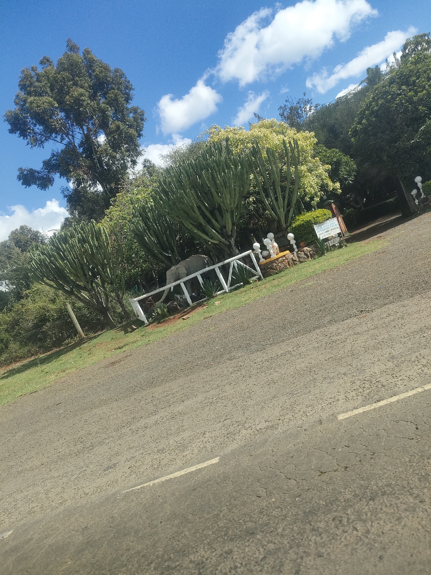 The image captures an outdoor scene along a road in Kisima ward, Kenya, under a partly cloudy, blue sky. The foreground features a paved road surface with a white line marking. To the side of the road, there is a grassy area with vegetation, including tall, cactus-like plants. A white fence runs along the edge of this area. An elephant sculpture is visible amidst the plants and fence. Further back, a sign is present near a building, and street lights can be seen. Trees are present in the background.