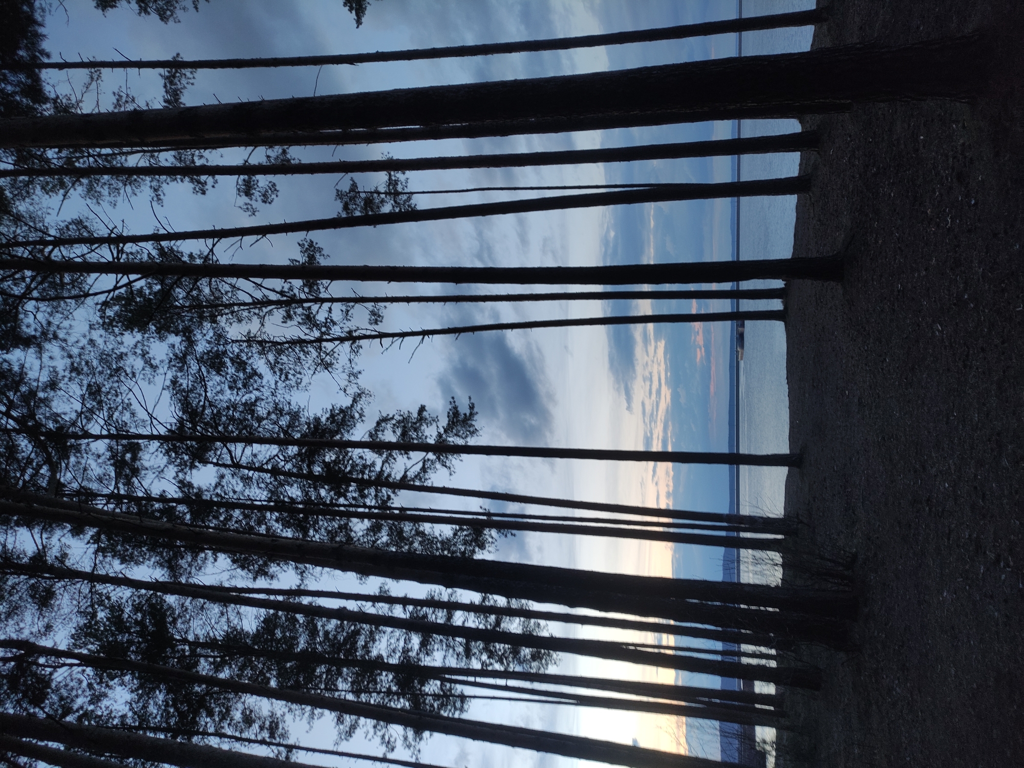 The media file captures a serene landscape at what appears to be dusk or dawn. The primary subjects are numerous tall, slender trees, likely pines, which are silhouetted and stretch horizontally across the frame. Their dark trunks form distinct parallel lines, separating the upper portion of the image, dominated by the sky, from the lower portion, showing a vast body of water. The trees' branches, sparse and dark, are visible against the sky.
To the right of the tree trunks is a strip of dark ground, suggesting a shoreline or forest floor. The sky is largely cloudy, displaying soft blues and grays, with hints of warmer, lighter tones (pale orange or pink) near the horizon line above the water, indicative of fading or emerging sunlight. The expansive body of water, possibly a lake or reservoir, mirrors some of the sky's colors, reflecting the subdued light. There are no people or specific objects visible, and no activity is explicitly taking place, contributing to the tranquil and somewhat melancholic atmosphere. The scene evokes a sense of solitude and natural beauty characteristic of a forest edge by a large body of water in regions like Chaikovsky, Russia. No visible text is present.