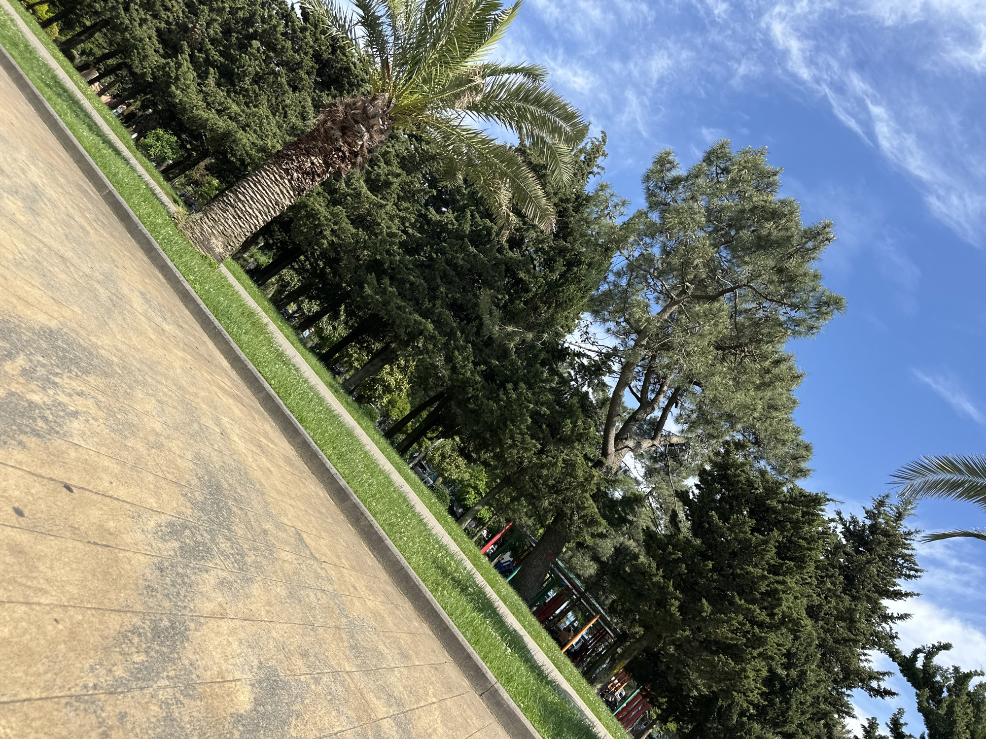 The image depicts a park scene in Batumi, Georgia, characterized by a slanted perspective that emphasizes the contrast between the man-made elements and the natural environment. A paved walkway or sidewalk, composed of large, beige tiles with dark stains, forms the foreground. Adjacent to the walkway is a strip of green grass bordered by a concrete curb.
Beyond the grassy strip is a dense collection of trees, primarily conifers and a palm tree, providing a verdant backdrop. In the distance, hints of a playground or park structure with red and green elements are visible.
The sky, a clear blue with wispy white clouds, is visible in the upper right portion of the frame.