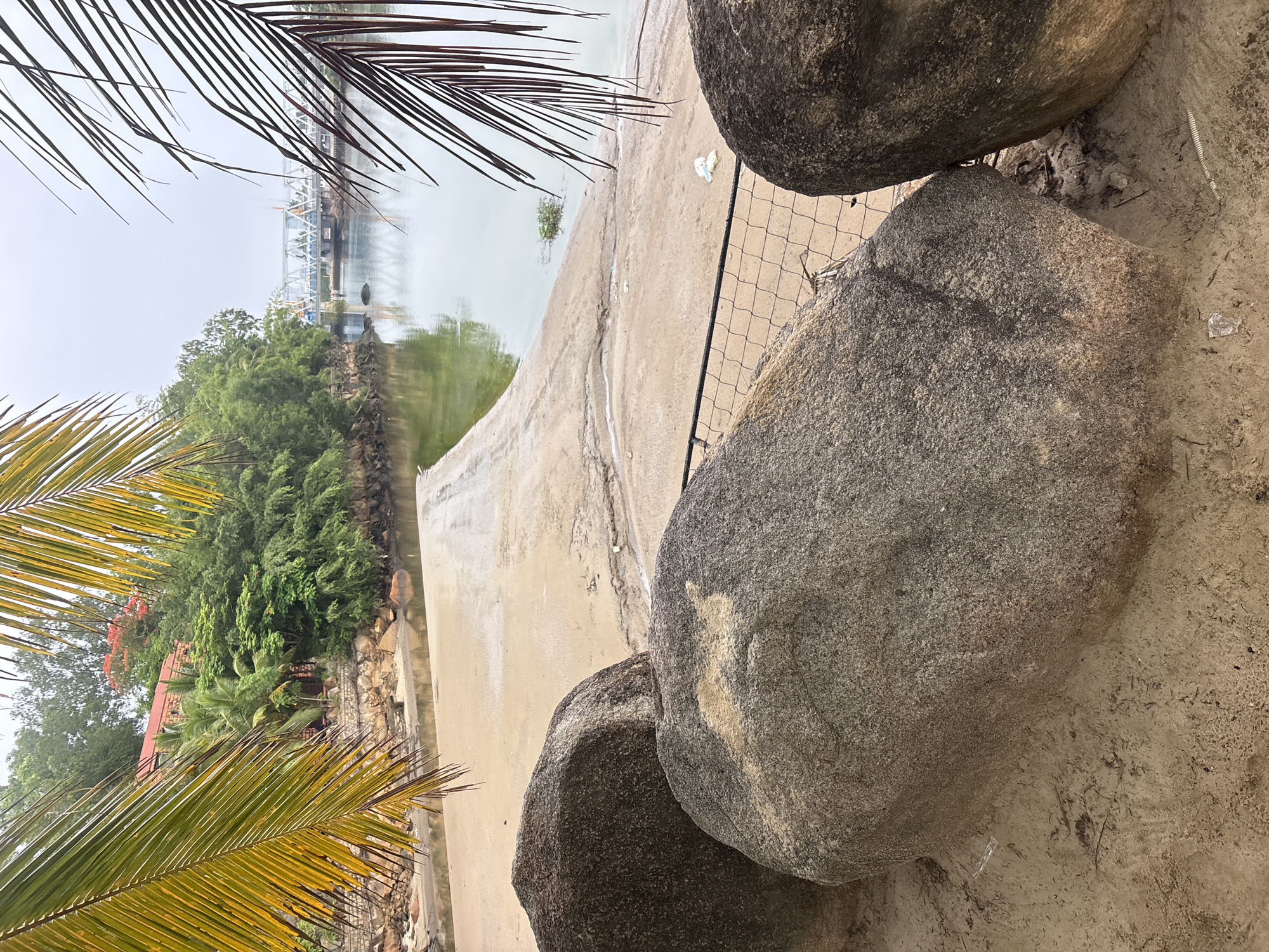 The image depicts a waterfront scene in Nha Trang, Vietnam, characterized by a sandy shore, large boulders, and calm water. In the foreground, three prominent, weathered boulders are positioned on the sand, two of them large and grey, with the third to the right partially visible. A section of wire mesh fencing is situated behind these rocks. Beyond the sand, a concrete ramp slopes gently down towards the water. The water itself is a greenish hue and appears calm, with a small cluster of aquatic plants visible. In the mid-ground, a treeline densely covers the opposite bank of the water body, with a building partially visible amidst the foliage. Further in the distance, a bridge spans the water. Palm fronds frame the scene from the top edges of the image, suggesting a tropical or subtropical environment. The sky is overcast, contributing to a muted light. The scene appears to be a public or semi-public area near the coast.