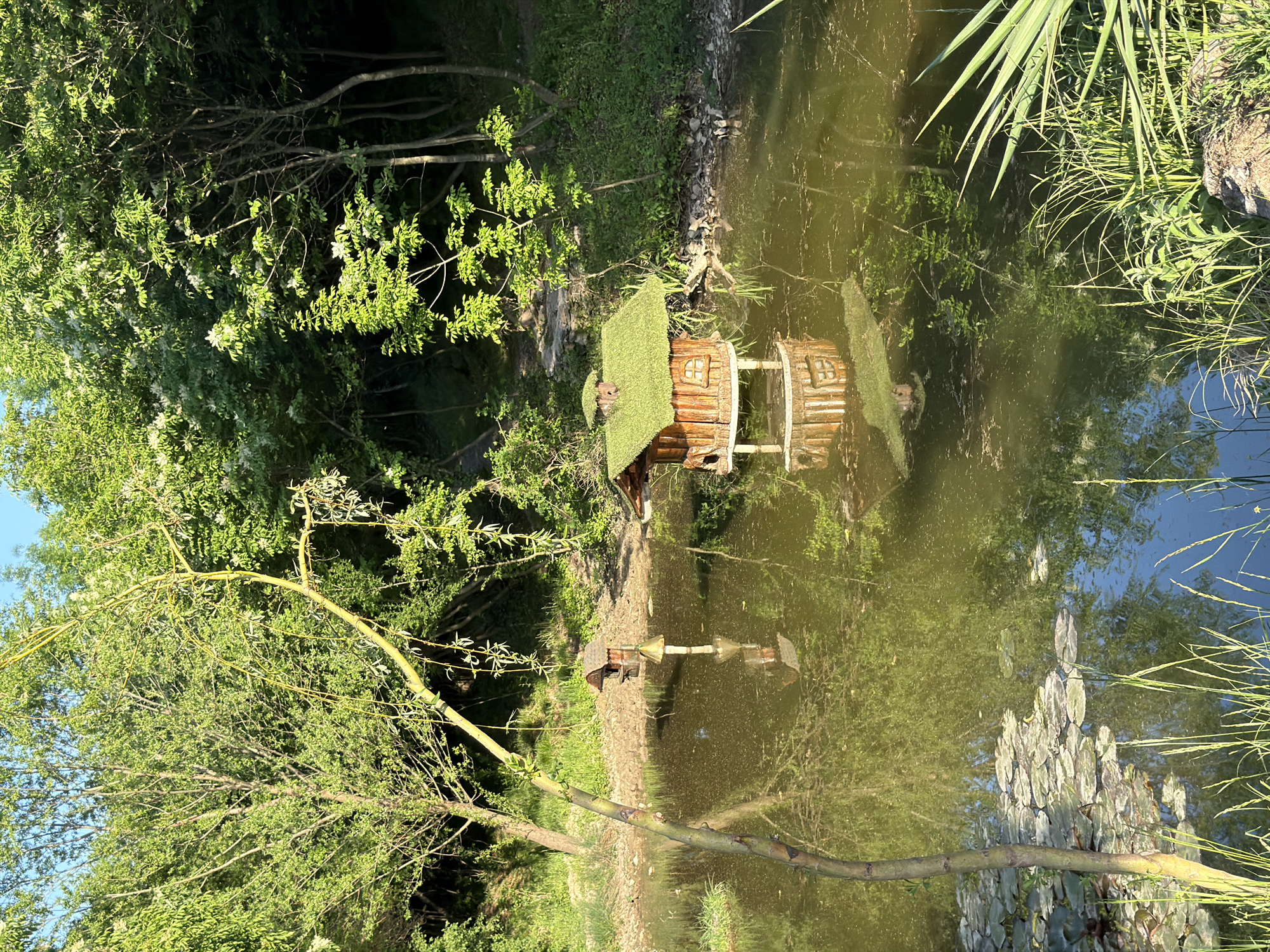 The image depicts a small wooden structure with a green roof situated on the edge of a pond in Lukovit, Bulgaria. The structure is reflected in the water. Vegetation surrounds the pond, including trees and aquatic plants. The scene is illuminated by daylight.
