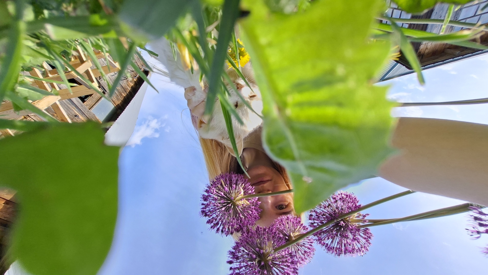 The photograph, taken from a low angle, shows a woman and a cat against a backdrop of a blue sky and elements of a garden. The woman is blonde, and her face is partially obscured by purple allium flowers. She appears to be holding the camera or phone at an unusual angle. A white cat is positioned near her face, among green foliage and yellow flowers. In the background, the corner of a wooden structure is visible, as well as more green foliage. The photo was taken in Большой Букор, Russia.