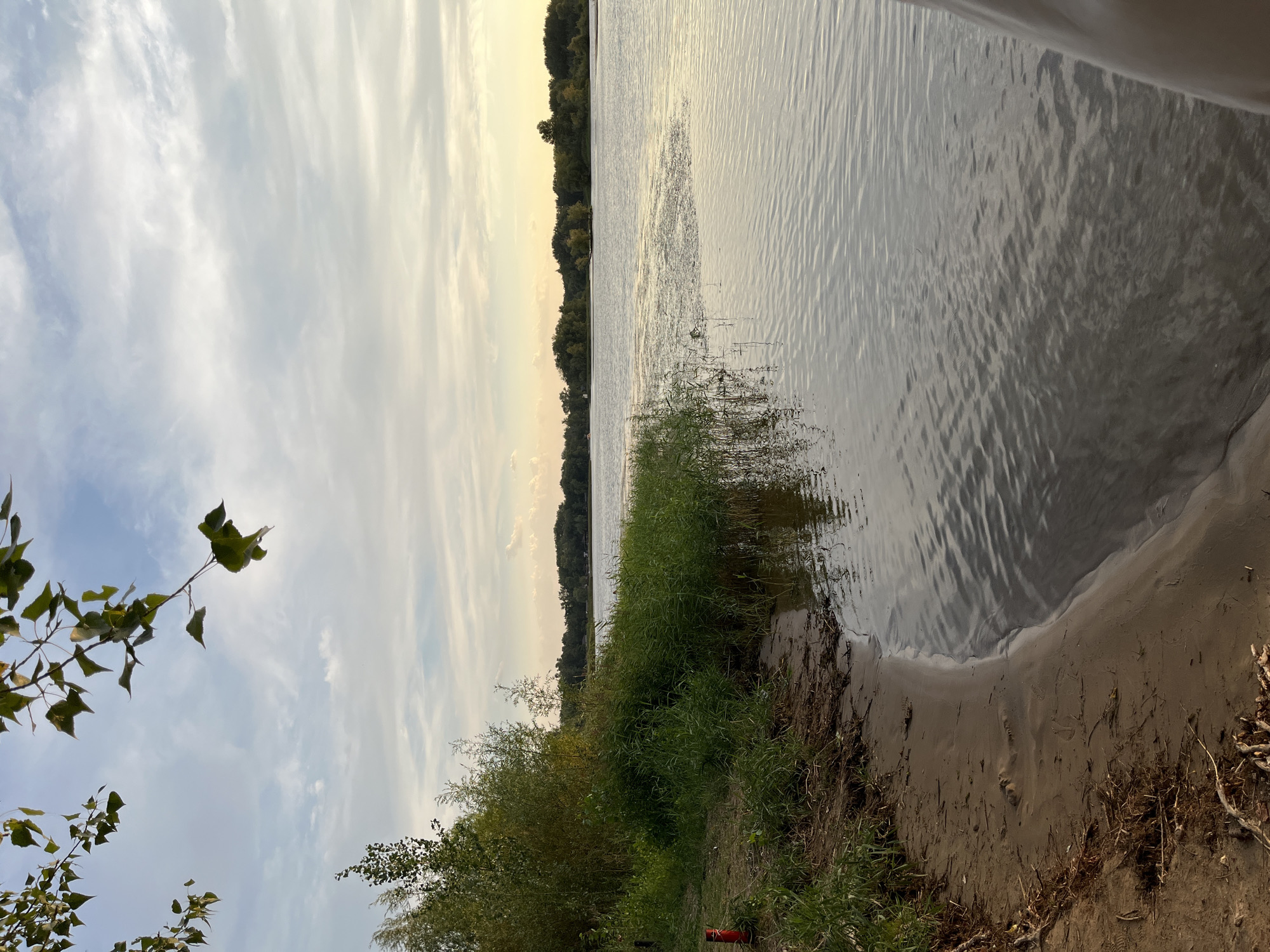 The image shows a natural landscape scene on the bank of a wide river. On the left side of the image, there is a sandy shoreline with some dry grass and branches. A bright red object, possibly a marker or a piece of equipment, is partially visible on the grass. Dense green reeds and other vegetation grow along the water's edge. The river itself takes up the majority of the right side of the frame, with gentle ripples on its surface. In the distance, across the river, there is a treeline forming the opposite bank, with a soft, hazy sky above, featuring scattered clouds and a yellowish glow indicating either sunrise or sunset. The overall impression is one of a peaceful, natural environment. The location is identified as the city of Шумейка, Russia.