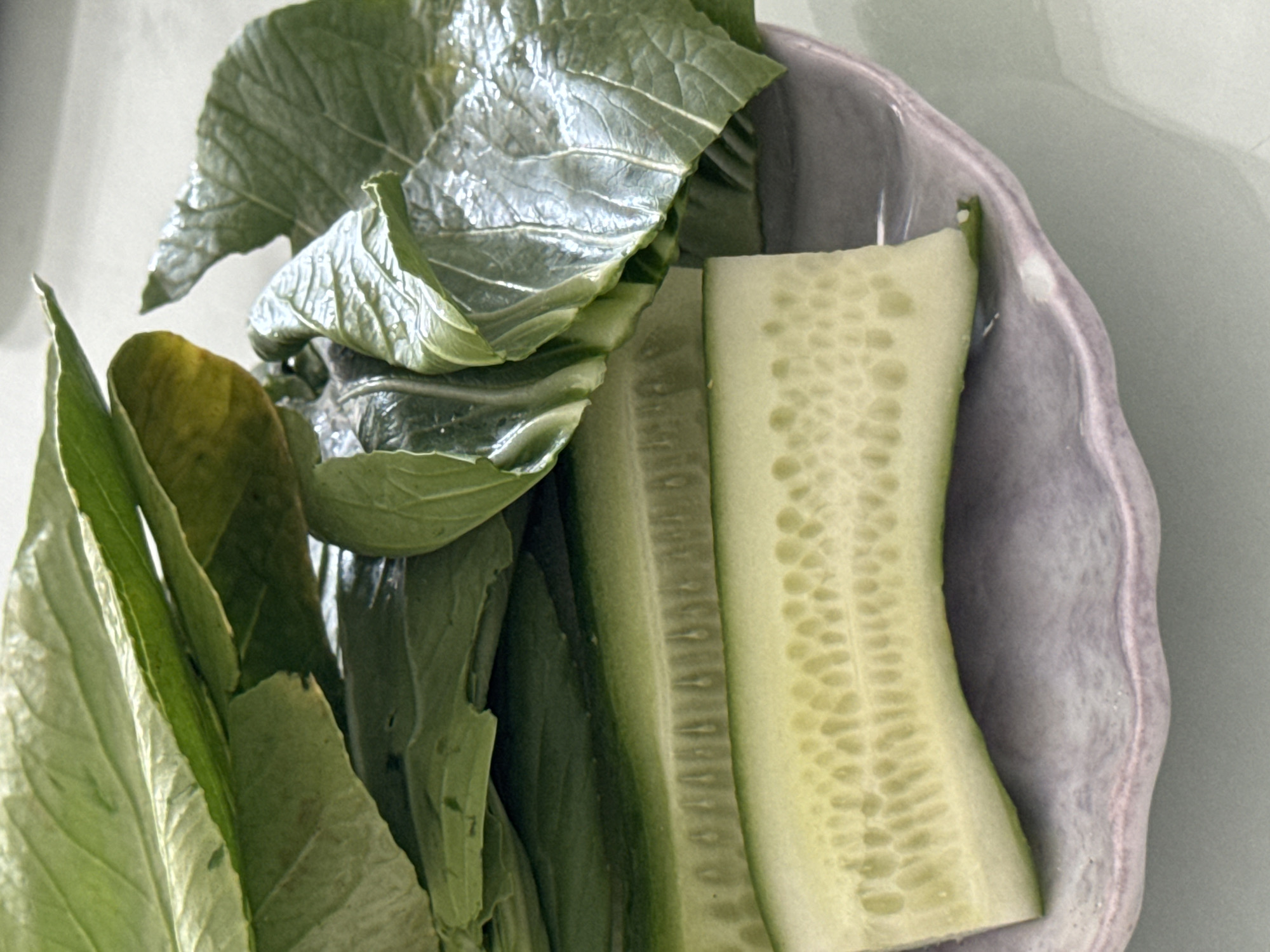 A close-up, overhead shot shows a light purple, scalloped-edge ceramic plate with a serving of fresh produce. The plate contains two thick, cross-cut slices of cucumber, revealing their seedy interiors. Piled on top of the cucumber slices are several large, dark green leaves, likely from a leafy vegetable such as bok choy or mustard greens. The leaves are slightly wilted and appear to have a natural sheen, suggesting they are freshly washed. The lighting is bright and even, illuminating the textures of the vegetables and the subtle variations in the plate's glaze. The background is a smooth, light gray surface, possibly a table or countertop, which is slightly out of focus. The image appears to have been taken indoors in a well-lit area. The location of Bac Nha Trang Ward, Vietnam, is not discernible from the visual information in the image.