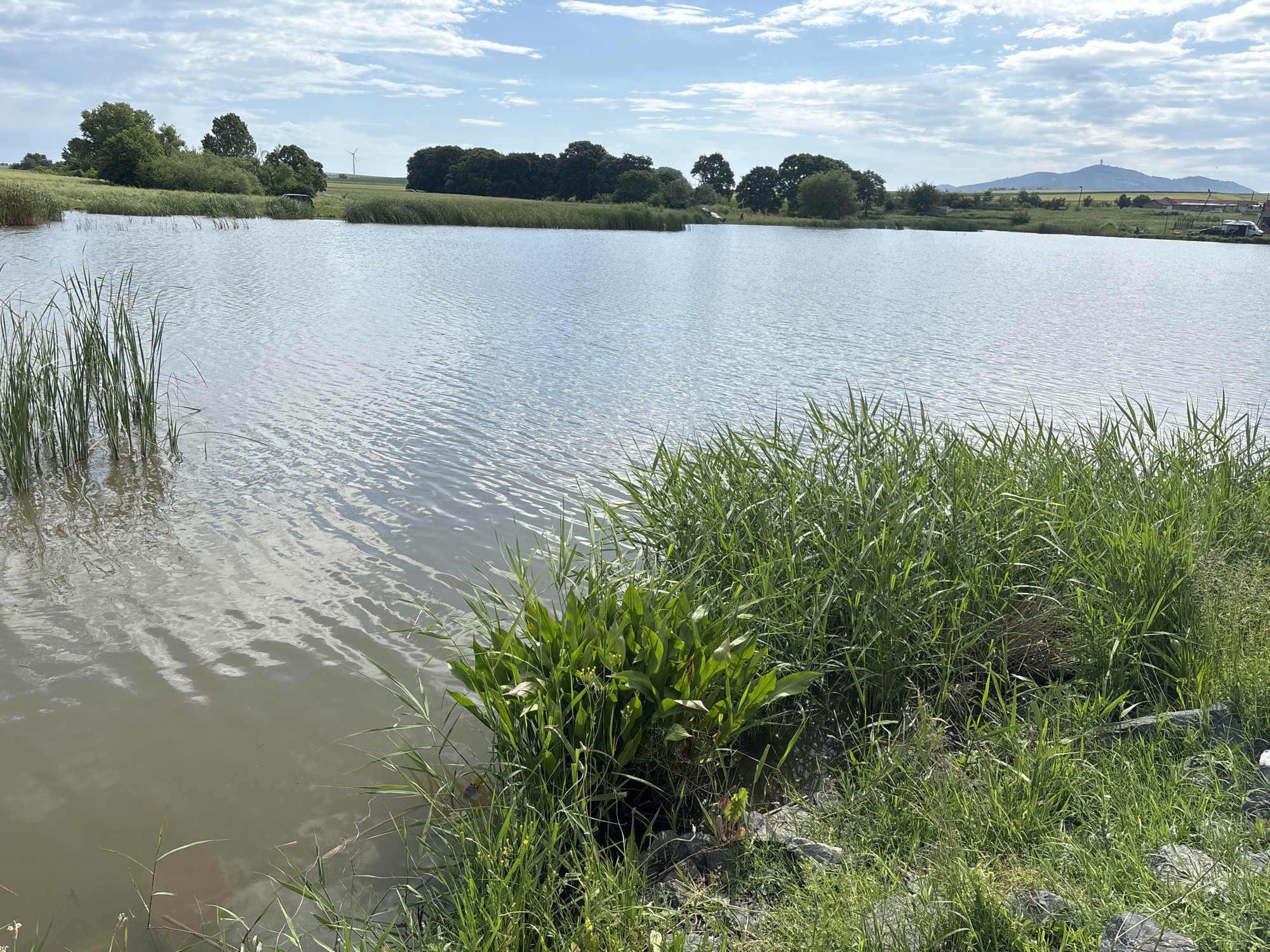 The image depicts a tranquil lake surrounded by lush greenery. Tall reeds and grasses line the shoreline, their vibrant green contrasting with the muted tones of the water. In the distance, a gentle hill rises, with a prominent structure on its peak. The sky is partially cloudy, casting soft shadows across the landscape. The scene appears to be located in the city of Unknown, Unknown, as no other information is available. There are no people visible in the image.