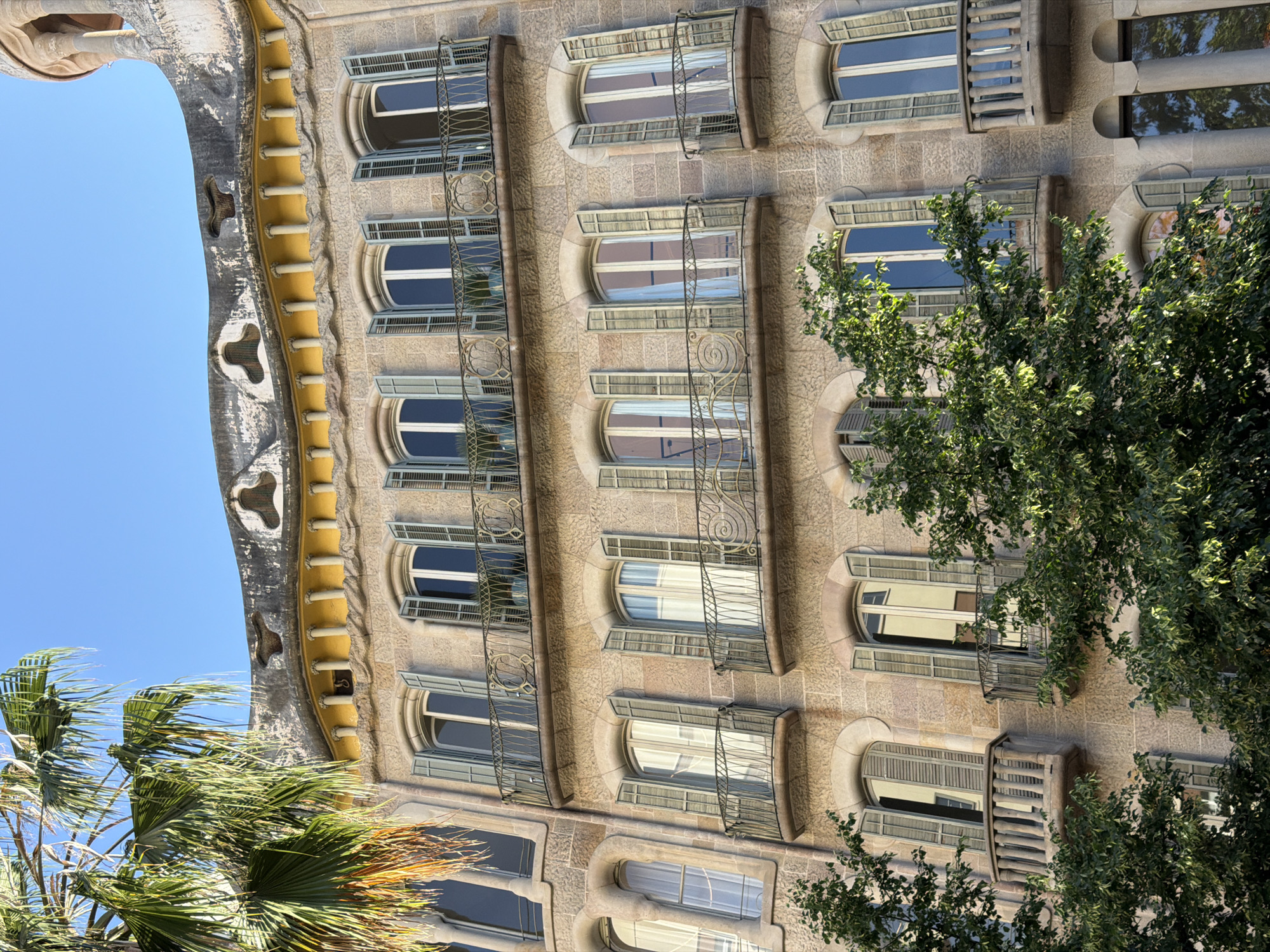 This image, rotated 90 degrees clockwise, presents a close-up view of the distinctive facade of an architectural masterpiece, likely Casa Batlló in Barcelona, Spain. The building exhibits an organic, flowing design with a textured, light-colored stone exterior.
Numerous windows with rounded tops are visible across multiple floors. Each window is adorned with pale shutters, some open, some closed, and most are fronted by elaborate, artistic wrought-iron balconies. These balconies feature unique, often skeletal or marine-inspired designs, a hallmark of Gaudí's work. The glass in the windows reflects the bright blue sky and surrounding elements.
On the left side of the image (when oriented correctly), a prominent, curvilinear architectural feature extends upwards. It has a wavy, yellow-orange cornice supported by white columns, and features irregular, dark, cave-like openings, characteristic of the attic or rooftop structure. This dramatic element contrasts sharply with the clear, bright blue sky that dominates the upper left portion of the scene.
Lush green foliage partially frames the building. On the bottom left, large fronds of a palm tree are visible, swaying gently, while on the right side, a dense deciduous tree obscures parts of the facade, adding natural vibrancy to the scene. The bright, direct sunlight indicates a clear, sunny daytime. No discernible text is visible.