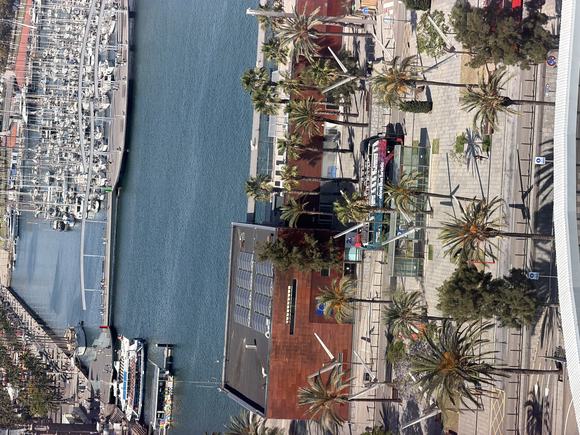 This image, captured from an elevated viewpoint, depicts a sun-drenched, bustling waterfront scene in Barcelona, Spain. The foreground is dominated by a large, reddish-brown building with a dark roof adorned with solar panels. Several palm trees are scattered throughout the paved area in front of the building, casting distinct shadows. A double-decker "Barcelona Bus Turístic" is visible on the street bordering the pedestrian area.
Beyond the building and trees, a large body of water, likely the Mediterranean Sea, is filled with numerous docked sailboats and yachts, forming a dense marina. A modern, curved white pedestrian bridge extends over a section of the water, with people visible walking across it. Further out, several larger vessels, including what appears to be a ferry or tour boat, are moored near a pier. The overall impression is one of a vibrant urban harbor, a popular tourist destination characterized by its maritime activity and modern infrastructure. The lighting suggests a clear, sunny day.