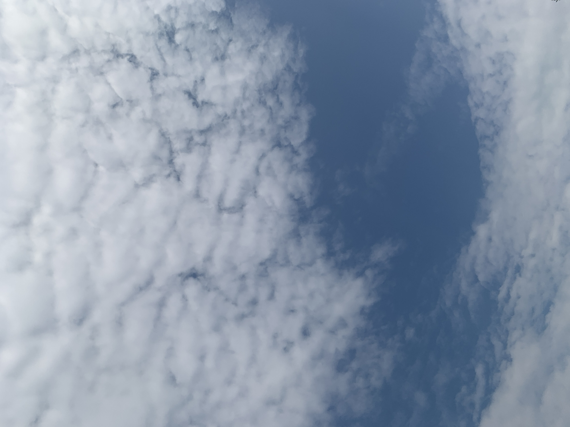 The image shows a wide-angle view of a blue sky filled with scattered white, cumulus clouds. The clouds are wispy and appear to be in motion. The bottom right of the image shows a very small portion of what appears to be a dark green tree branch with a few needles. There are no people, buildings, or other man-made objects visible in the image. The overall impression is of an overcast sky on a clear day.