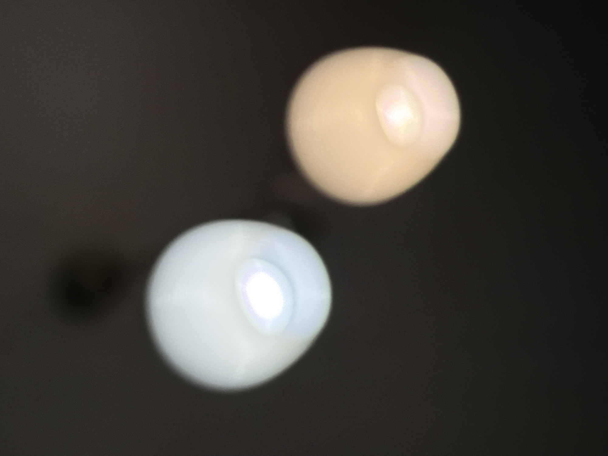 Two out-of-focus lightbulbs against a dark background. The lightbulbs are spherical and diffuse, with the left one appearing brighter and whiter, and the right one having a warmer, yellowish hue. There is a faint, darker shadow or object visible in the upper central portion of the background. The scene is devoid of any contextual details that would indicate a specific location within Sofia, Bulgaria, or any specific activity.