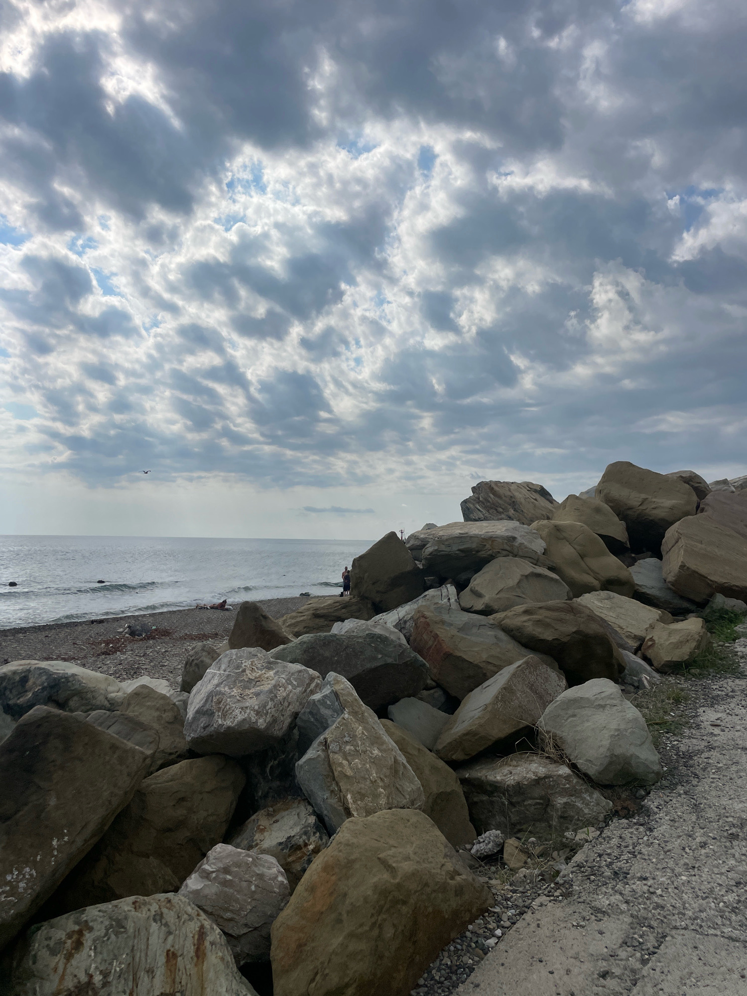 A cloudy day at the Sochi coastline features a rocky shore with a calm sea. In the foreground, large, weathered rocks are piled high, creating a natural barrier. To the left, the water laps at a pebble beach dotted with driftwood. Further out, the sea stretches to the horizon under a dramatic sky filled with grey and white clouds. Two figures, appearing as small silhouettes, stand near the water's edge, and a bird flies in the distance. The scene conveys a sense of natural ruggedness and the vastness of the sea.