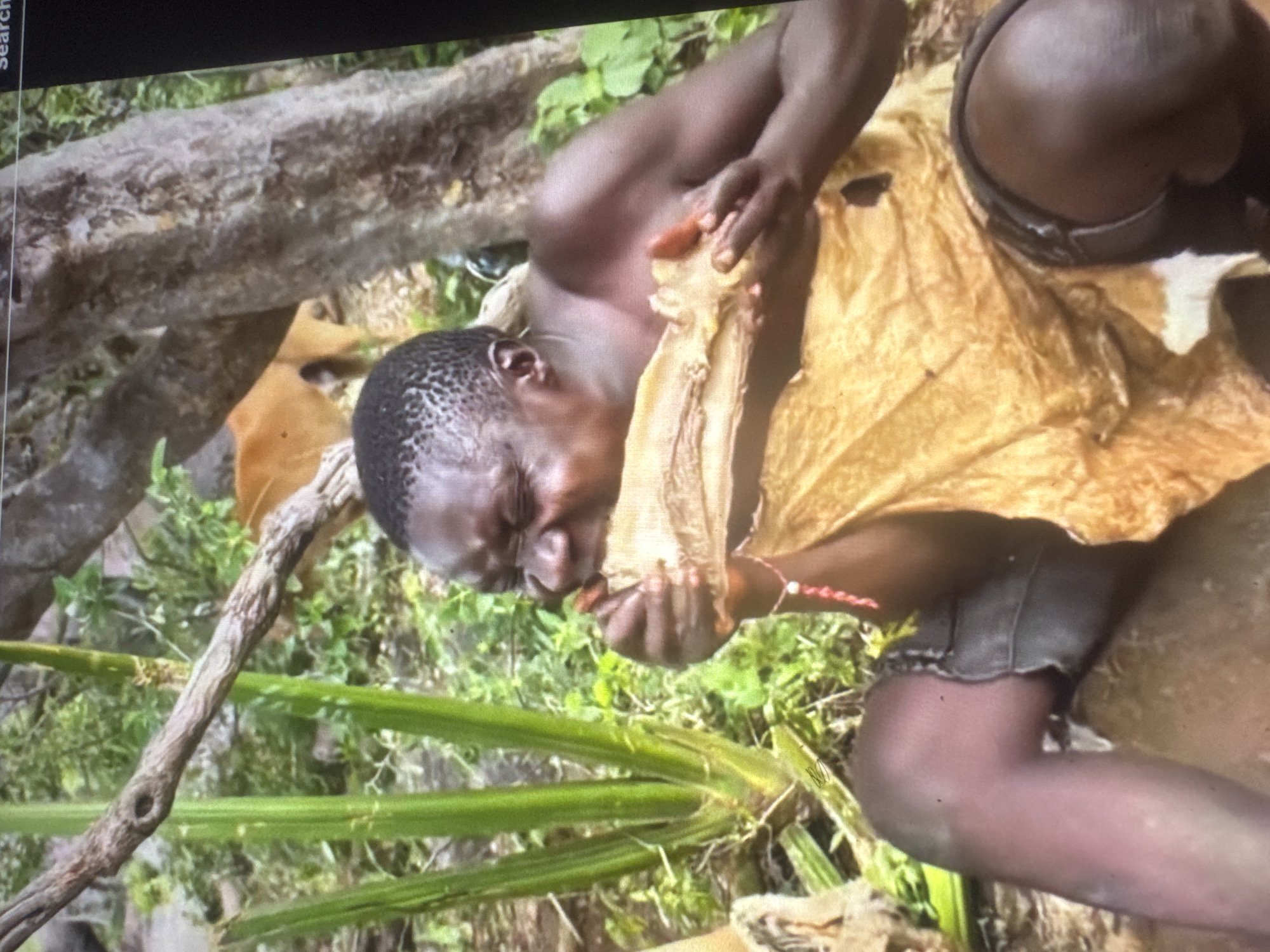 This is a close-up, waist-up shot of a dark-skinned person, seemingly male, in an outdoor, natural environment. The person is sitting down, with their legs crossed and bent. They are wearing torn, dark shorts and a tan, fur-like garment wrapped around their lower body. Their upper body is bare. The person is actively eating a large piece of what appears to be raw meat or animal hide, holding it with both hands and bringing it to their mouth. Their eyes are closed, and their facial expression suggests intense concentration or exertion. In the background, there are blurred green plants, trees, and a lighter-colored animal, possibly a deer or goat, standing in the shade. The overall lighting suggests daylight, but the setting is not clearly identifiable as urban or rural. There are no identifiable landmarks or structures that would suggest the location is in Abuja, Nigeria.