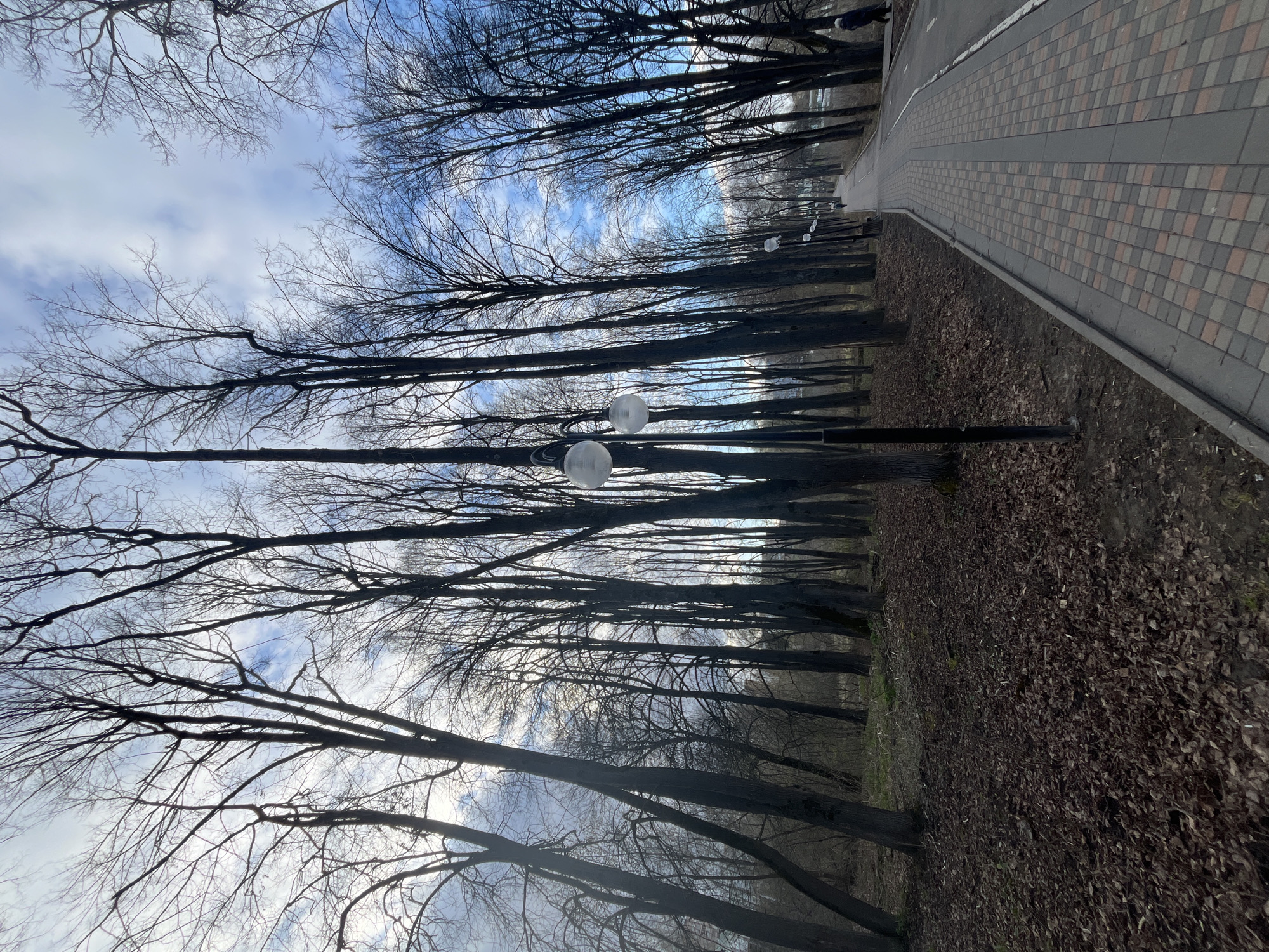 The image captures a view along a pedestrian walkway and roadway in Klin, Russia. A line of tall, bare trees stretches along the left side of the path, their branches intertwined against a sky with a mix of blue and clouds. Spherical street lamps are positioned among the trees. To the right, a paved walkway runs alongside a narrow strip of dark earth covered with fallen leaves. Beyond the walkway, there is a paved road. The scene appears to be set in late autumn or winter due to the absence of foliage on the trees.