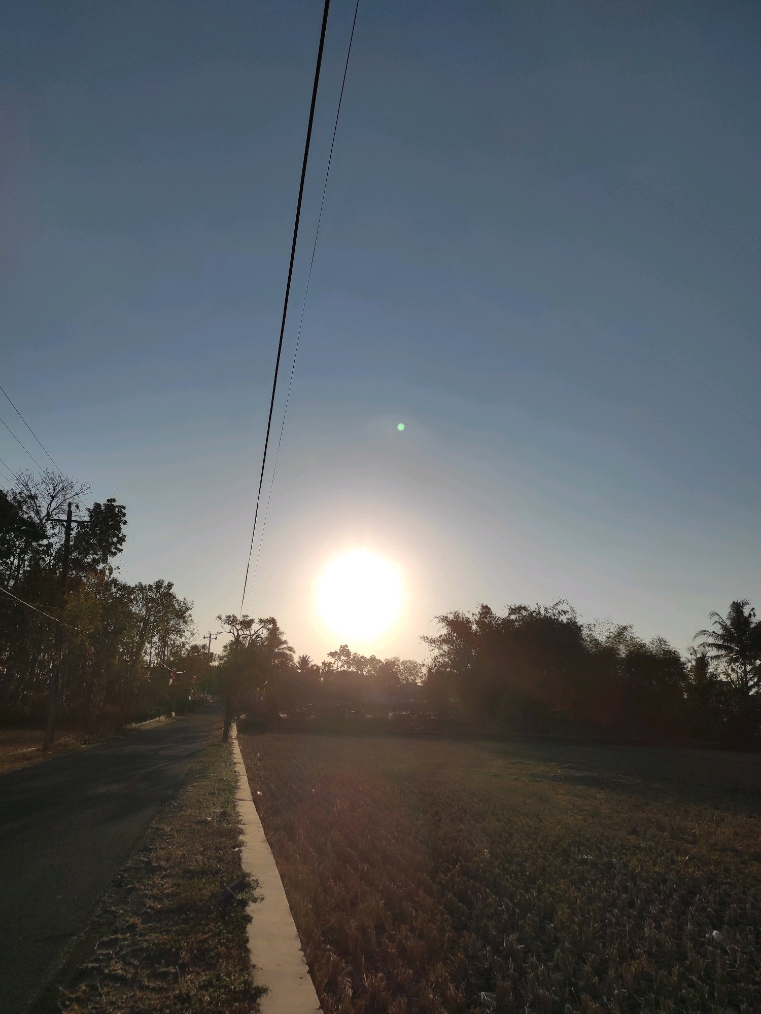 The photograph depicts a rural scene at sunset in Purwodadi, Indonesia. The sun, a bright orb, is positioned in the upper center of the frame, casting a warm glow across the sky. In the foreground, a paved road stretches into the distance on the left, bordered by a dry, cultivated field on the right. Dense foliage, consisting of trees and some palm trees, lines the far side of the road, silhouetted against the bright sky. Power lines are visible diagonally across the upper portion of the image, originating from the left and extending upwards and to the right. No people are visible in the scene. The environment suggests a time of harvest or post-harvest, given the appearance of the field.