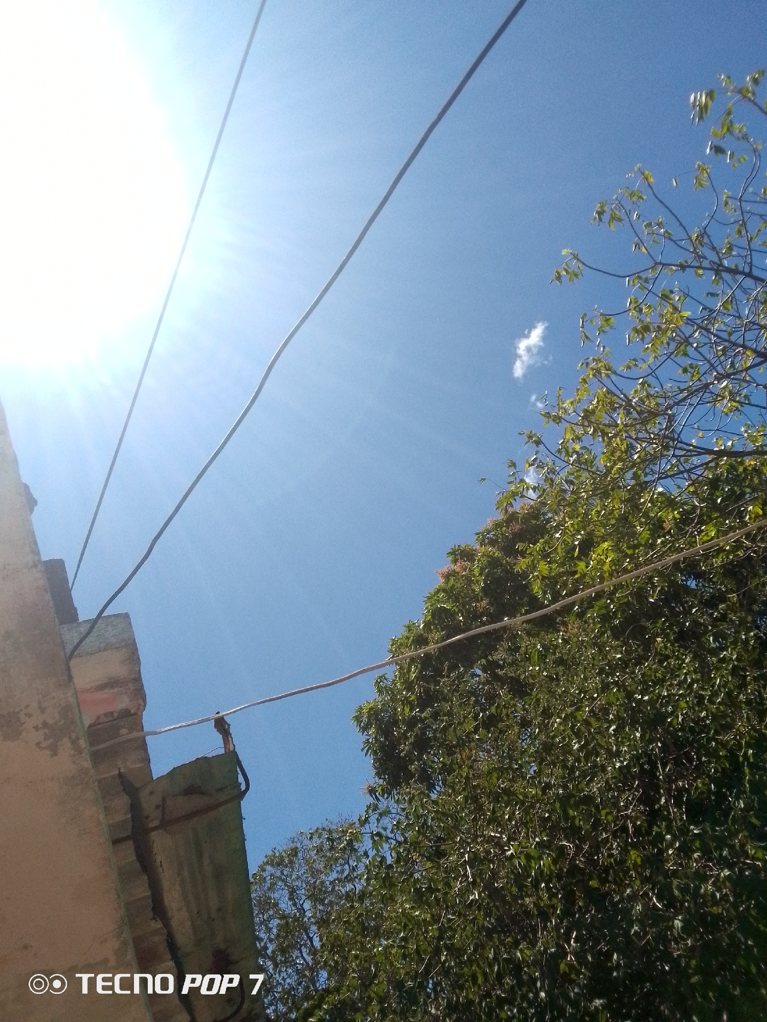 An outdoor scene in the city of Altagracia, Venezuela, is depicted from a low angle under a clear, bright blue sky. Intense sunlight from the upper left creates significant lens flare and visible rays. Multiple dark utility lines traverse the sky diagonally from left to right. A lighter-colored cable runs horizontally across the mid-frame, appearing to connect to a light-colored, weathered concrete or stucco building structure partially visible in the lower-left corner. This building section exhibits exposed red brickwork and a deteriorated edge with dark green elements. The right and lower-middle portions of the image are dominated by dense green foliage from a tree, with visible branches and small leaves. A single small, wispy white cloud is present in the upper right quadrant of the sky.