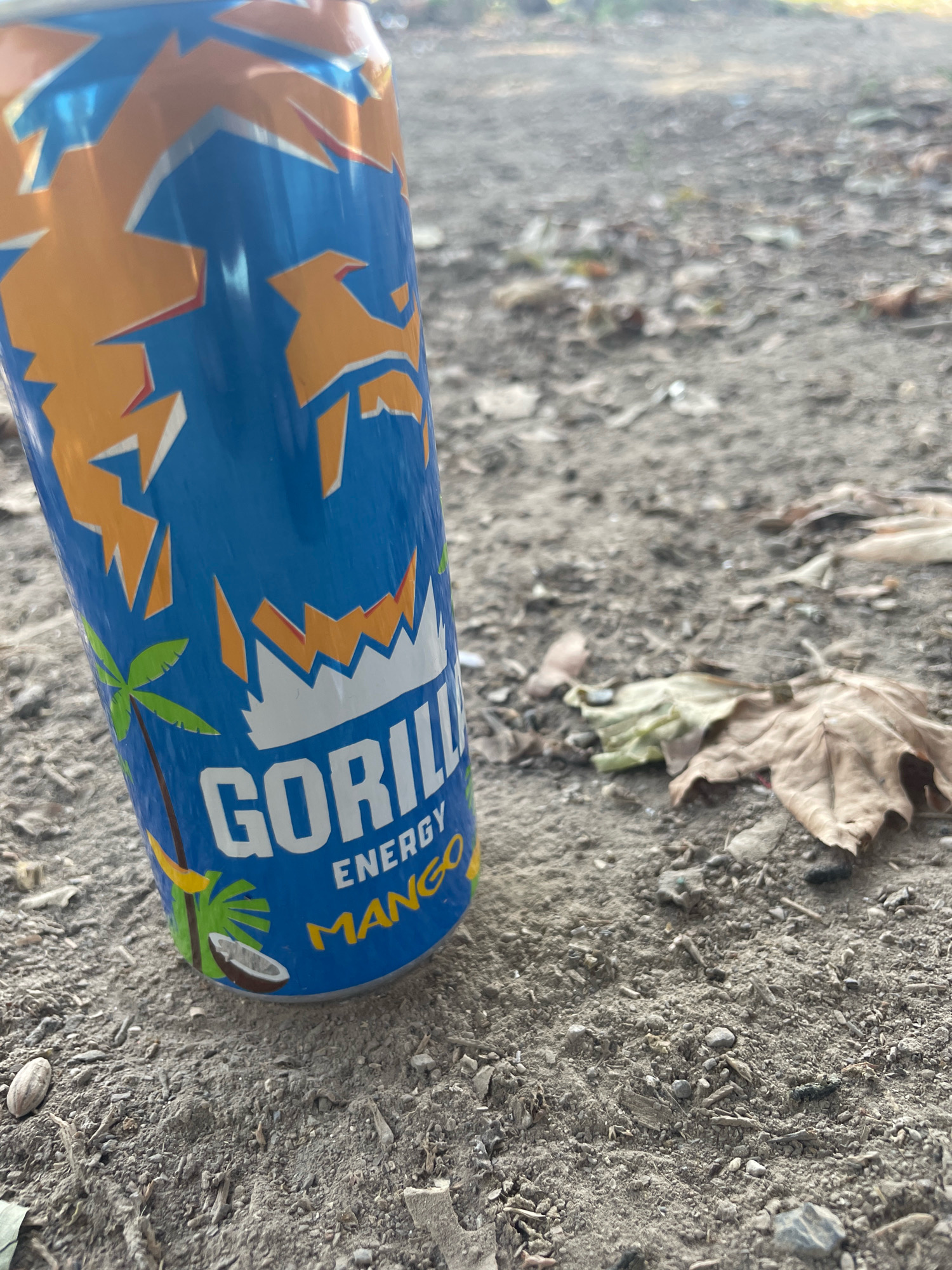 A blue energy drink can with orange, white, and green graphics sits on the ground. The can has the word "GORILLA" in large white letters, followed by "ENERGY" and "MANGO" in smaller letters. The background is out of focus, showing dirt and fallen leaves. The image appears to be taken outdoors, likely in a natural or park-like setting. There is no visible indication of a city location.