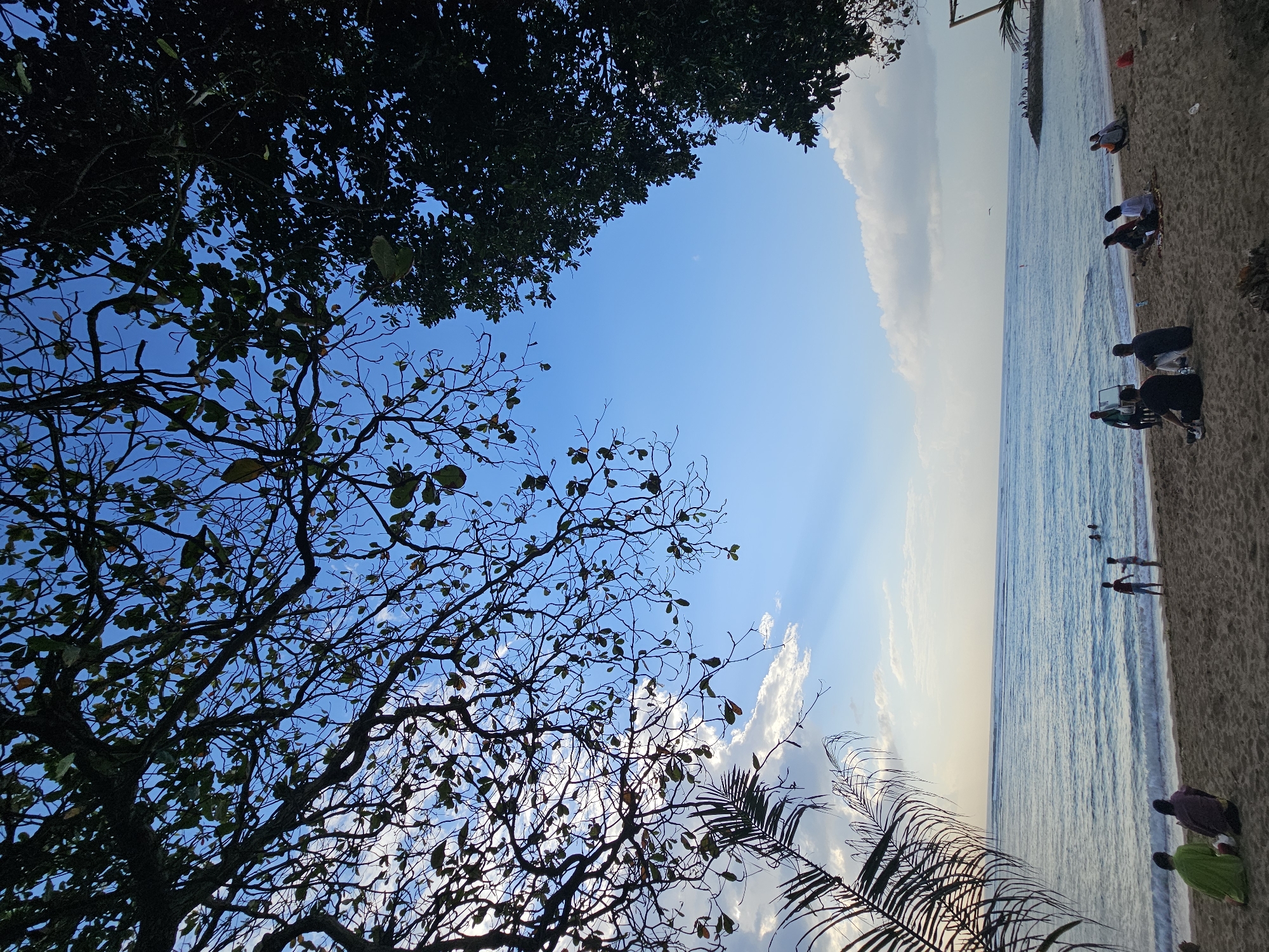 This is a vertical, medium-shot, eye-level photograph taken on a beach in Denpasar, Indonesia. The image is framed by the dark silhouettes of tree branches and leaves against a bright blue sky with scattered white clouds. In the mid-ground, the ocean stretches out, with gentle waves rolling onto the sandy shore. A few people are visible on the beach, some sitting and others standing. A small group of individuals are in the water, swimming or wading. In the far distance, a rocky breakwater extends into the sea, with more people gathered on it. The overall scene depicts a tranquil beach setting, likely during the late afternoon given the lighting.