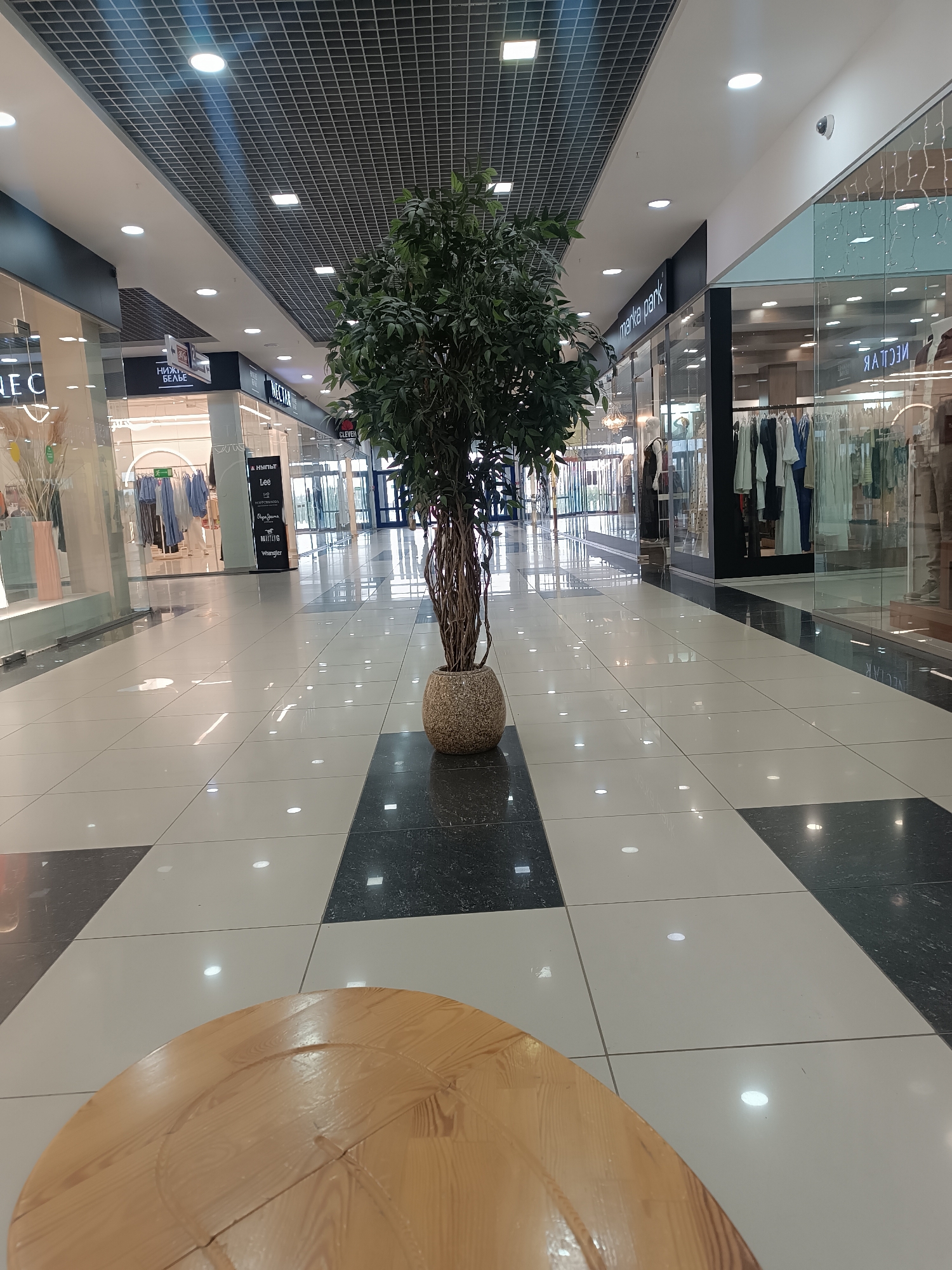 The image captures an indoor scene, likely a shopping mall corridor in Сепыч, Russia. The floor is covered with a patterned arrangement of white and black square tiles. In the center of the corridor, a large tree in a tan-colored pot serves as a decorative element.
To the left and right, storefronts with glass facades display clothing and accessories. Store signs above the entrances are visible, with inscriptions in both English and Russian, suggesting a mix of local and international brands. Notable brand names include "Lee," "Wrangler," and "marka park."
In the foreground, the edge of a light-colored wooden table is visible, indicating a seating area nearby. The mall's ceiling features a grid-like structure with recessed lighting, providing illumination to the space. The overall environment appears clean and well-maintained.