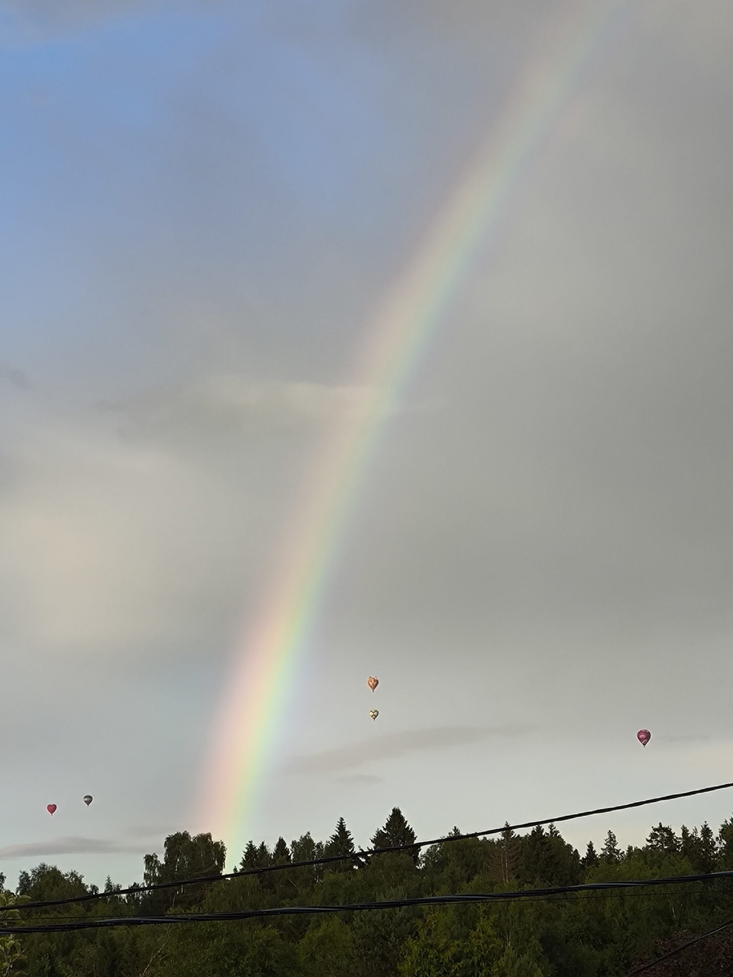 In an outdoor scene, a rainbow arcs across a cloudy sky. Several hot air balloons are visible in the sky, some of which are heart-shaped. Below the sky is a dense line of green trees, forming a horizon. In the foreground, dark cables run horizontally across the image. The image is captured in Unknown, Unknown.