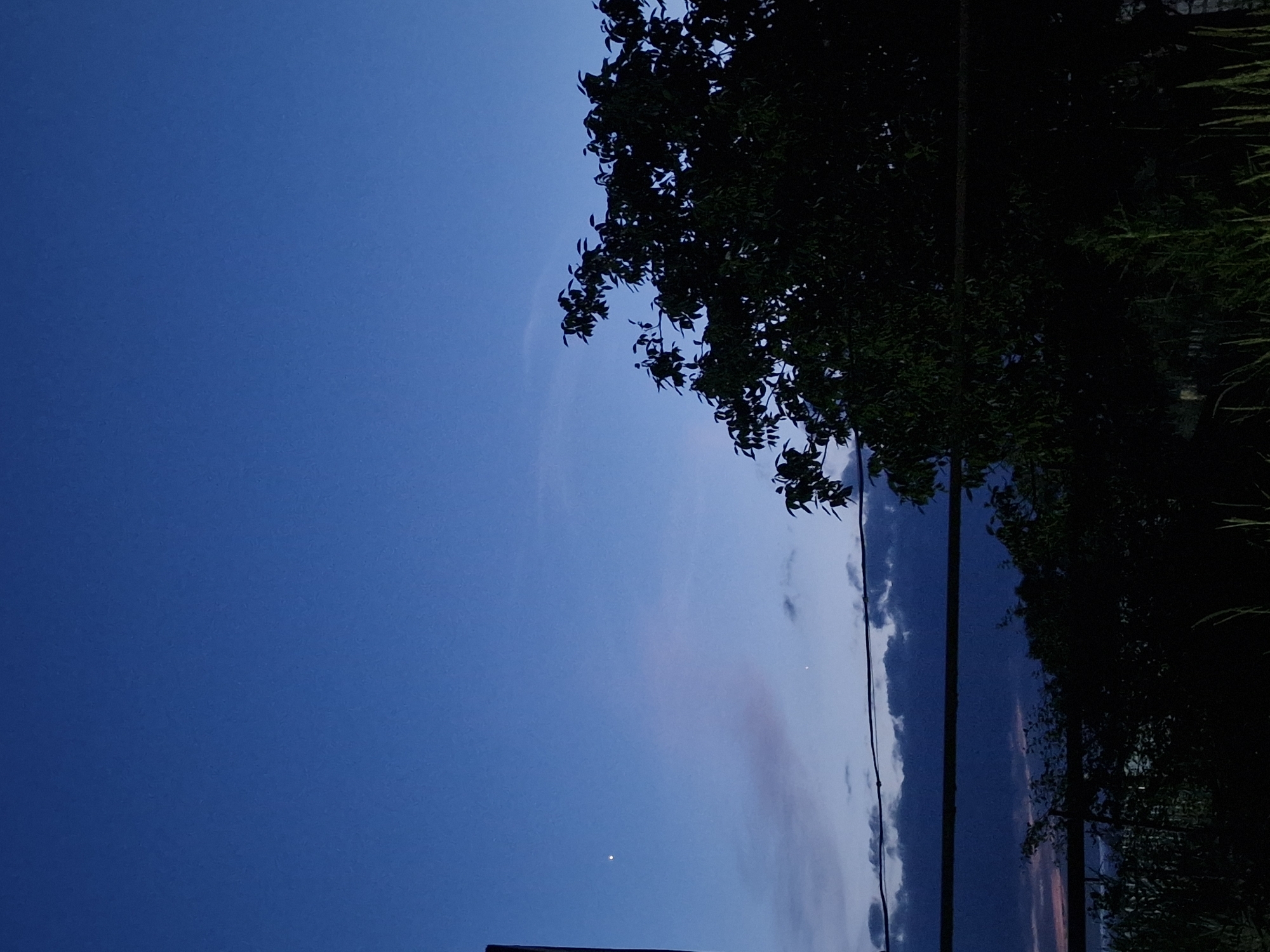 The image depicts a twilight sky with a deep blue hue, transitioning to lighter shades with wisps of clouds. On the right side of the frame, a silhouette of dense foliage, likely trees and tall grass, encroaches from the edge. A vertical, dark line, possibly a utility pole or a thin tree trunk, runs through the foliage. A single bright dot, likely a star or planet, is visible in the sky on the left side of the frame, and another fainter one is visible to the right of the clouds. The overall impression is of a serene evening scene in an outdoor setting, possibly rural given the presence of vegetation and the open sky. The time of day is clearly dusk or pre-dawn. No people or text are visible.