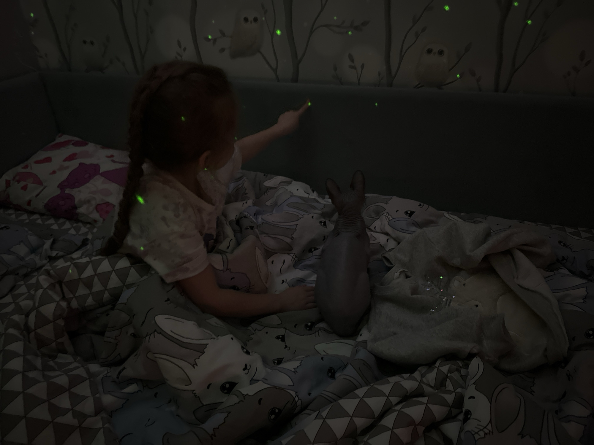 A young child with a braid is sitting on a bed, pointing at a green light on the wall. A hairless cat stands on the bed next to a stuffed toy. The bed is covered in patterned bedding. The wall behind the bed has a wallpaper with owls and branches. The green lights appear to be glow-in-the-dark stickers. The location is Chaikovsky, Russia.