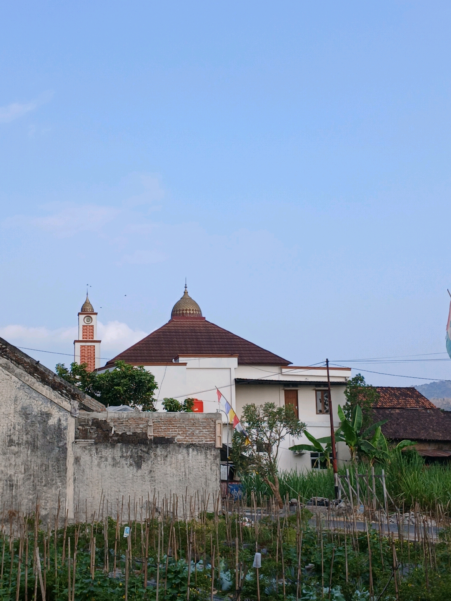 The image depicts a view of a mosque and surrounding buildings in Sitimulyo, Indonesia. The mosque features a large, brown, domed roof and a tall, slender minaret with a gold-colored top, adorned with decorative white and orange patterns. To the left, a weathered, concrete building with a rough texture is visible, possibly an older structure or a wall. In front of these buildings, a garden area is cultivated with rows of plants supported by wooden stakes. Some of the plants appear to be young vegetables or crops. Banana trees and other lush green foliage are also present in the scene. The sky above is a clear, light blue with a few wispy clouds. The overall impression is of a tranquil, semi-rural or suburban setting.