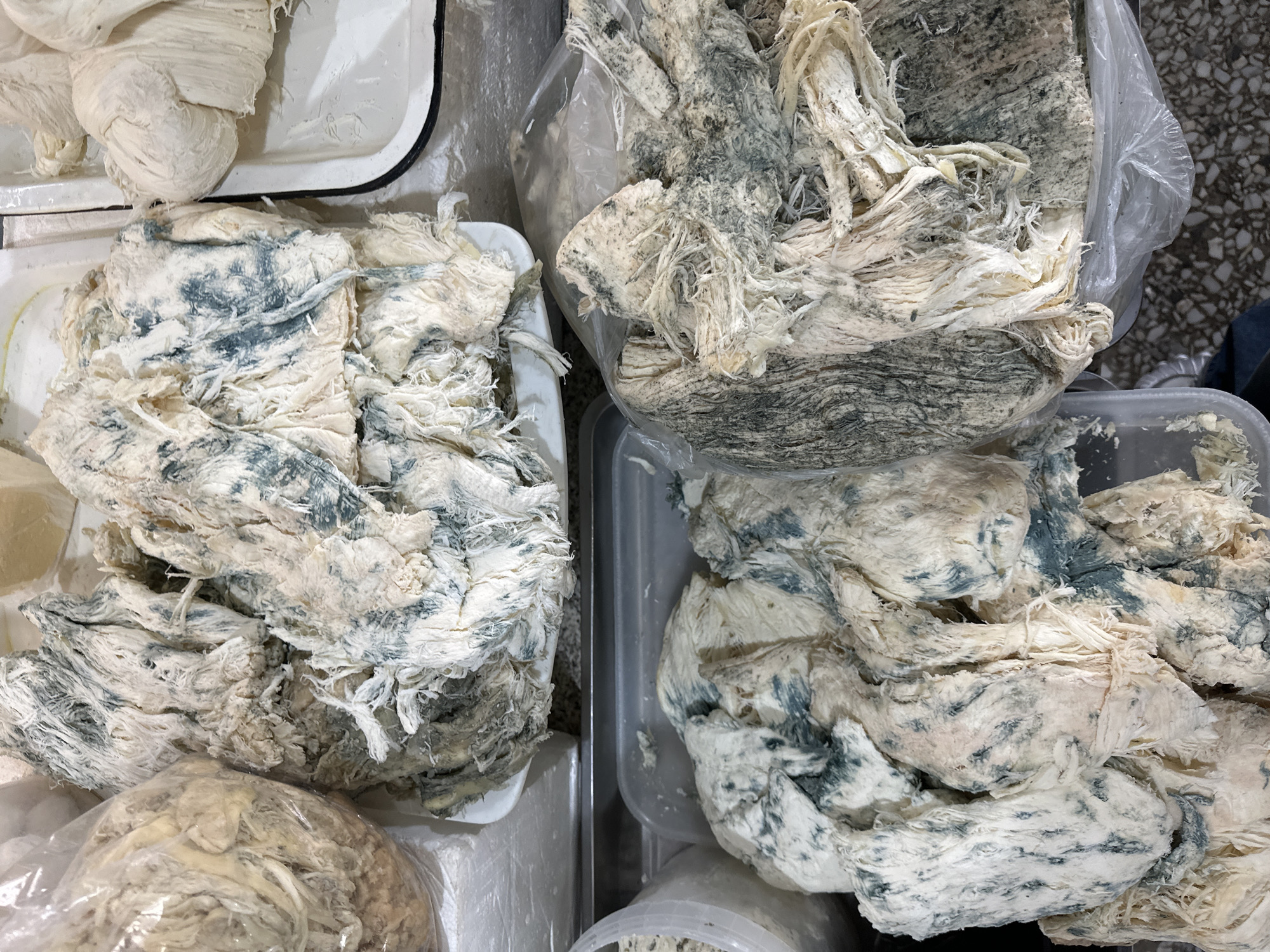 The image presents an overhead view of large quantities of a fibrous, off-white substance heavily intermingled with prominent blue-green mold. This substance is distributed across several containers, including white and clear plastic trays and plastic bags, suggesting a market or storage setting for a food product.
The primary subject is the unusual-looking product, which has a shredded or pulled texture, resembling aged or fermented cheese, possibly a traditional Armenian variety like Lori cheese known for developing molds. The mold patches are significant and appear natural to the product's state, rather than simple spoilage, implying it is a mold-ripened item.
In the upper left, a dark-rimmed white tray holds a portion of the substance that is less moldy, appearing as dense, folded strands. To the right, another white tray contains a similar mold-infused mass. The right side of the image features two larger containers, one plastic bag and one clear plastic tub, overflowing with the product, displaying even more extensive blue-green mold and fibrous texture.
The scene lacks any visible people or specific activity, focusing solely on the stacked product. The lighting is even, suggesting an indoor setting. No discernible text or explicit location cues are visible within the image itself, but the context points to Yerevan, Armenia. The ground visible on the far right is a light-colored, patterned tile or concrete. The overall impression is that of a bulk display or storage of a distinct, aged, and mold-ripened food item.
